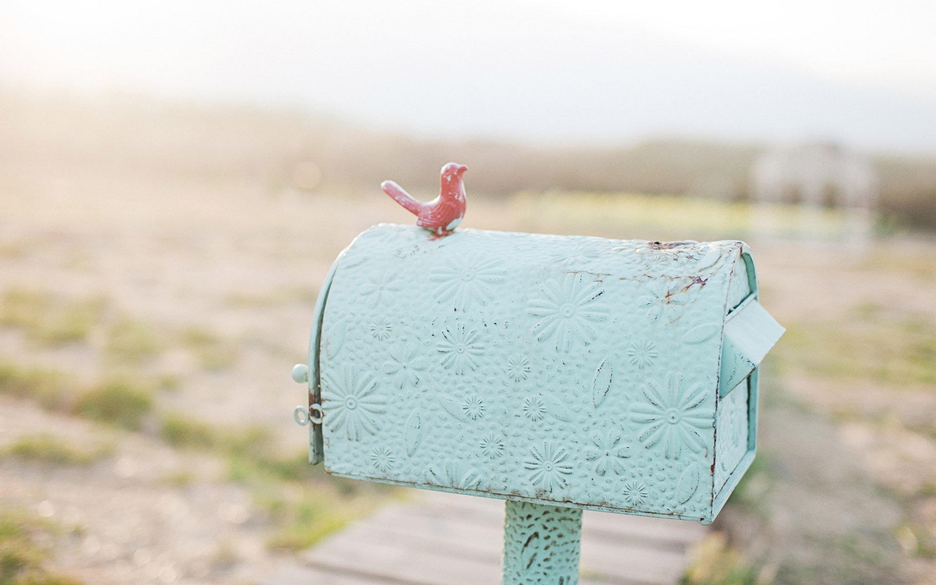 小清新,信箱,简单,可爱,宽屏