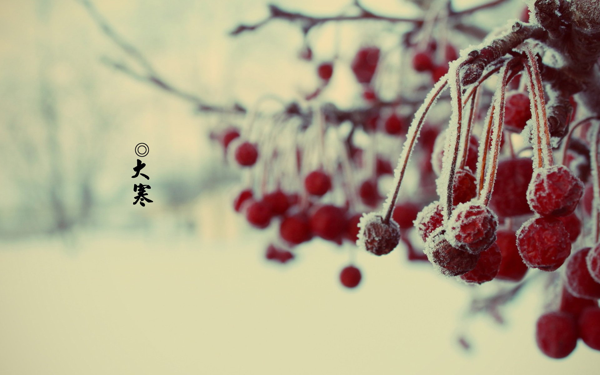 节日美图,大寒,寒冷,二十四节气,宽屏