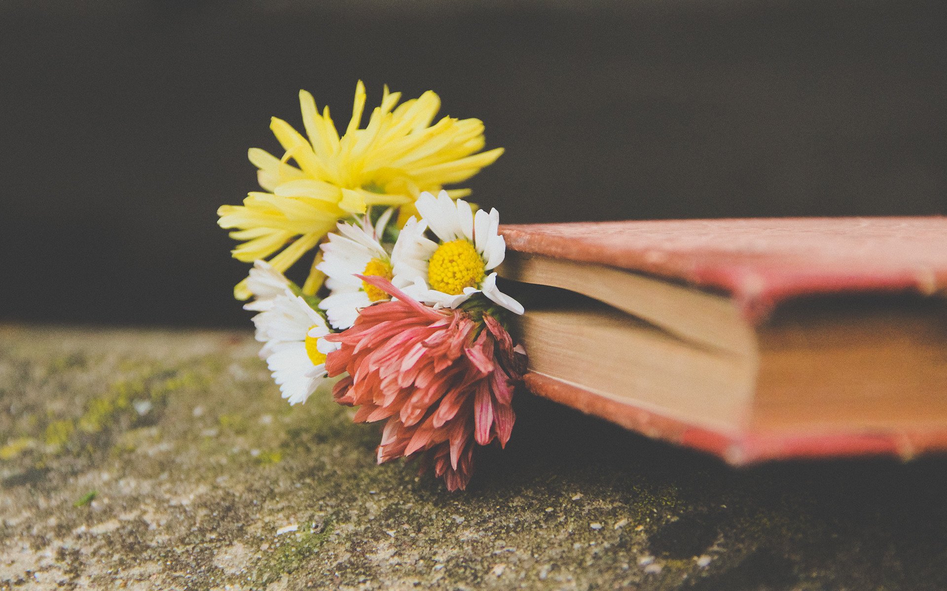 小清新,书本,小花,和谐美好,宽屏