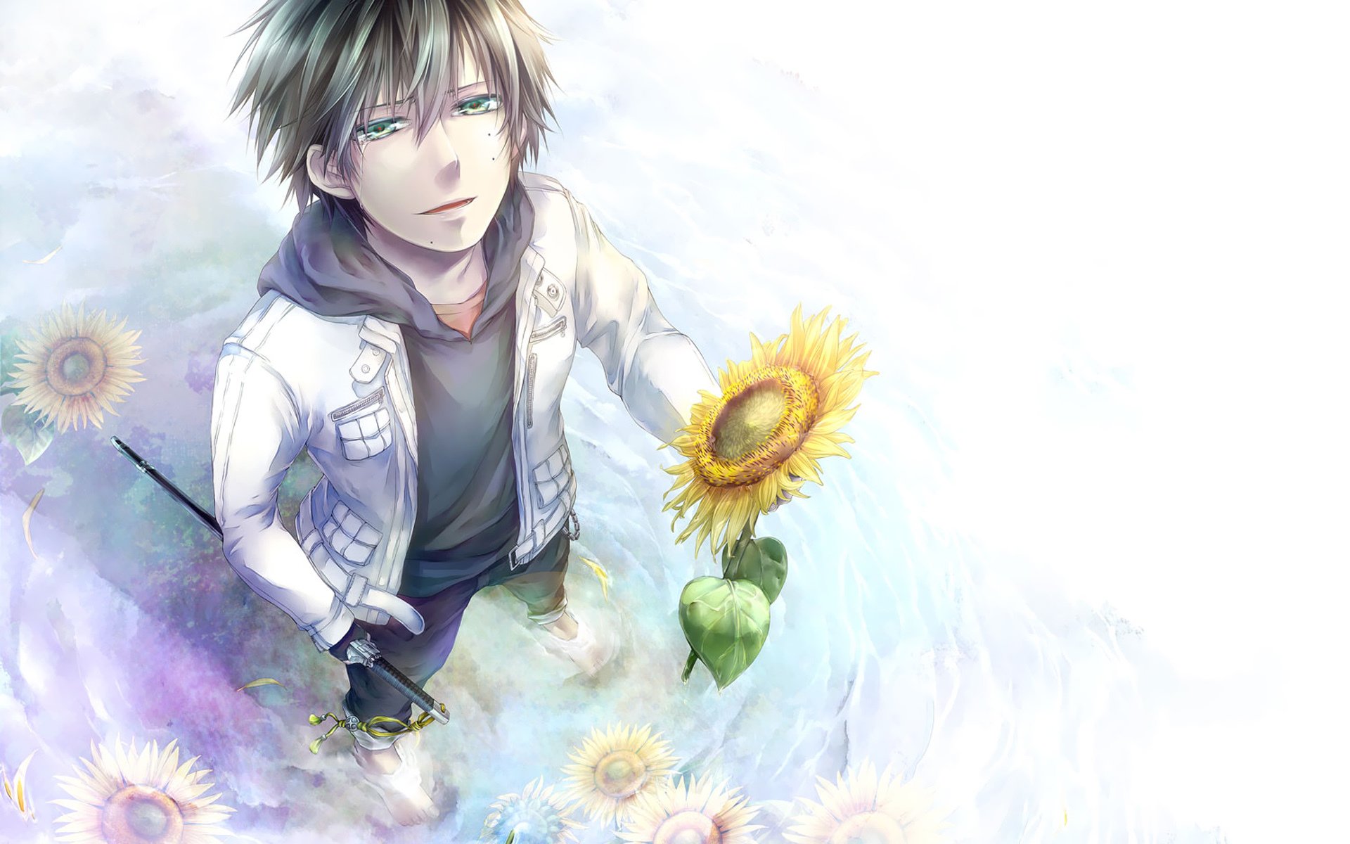 青之驱魔师,校园,战争,冒险,动漫