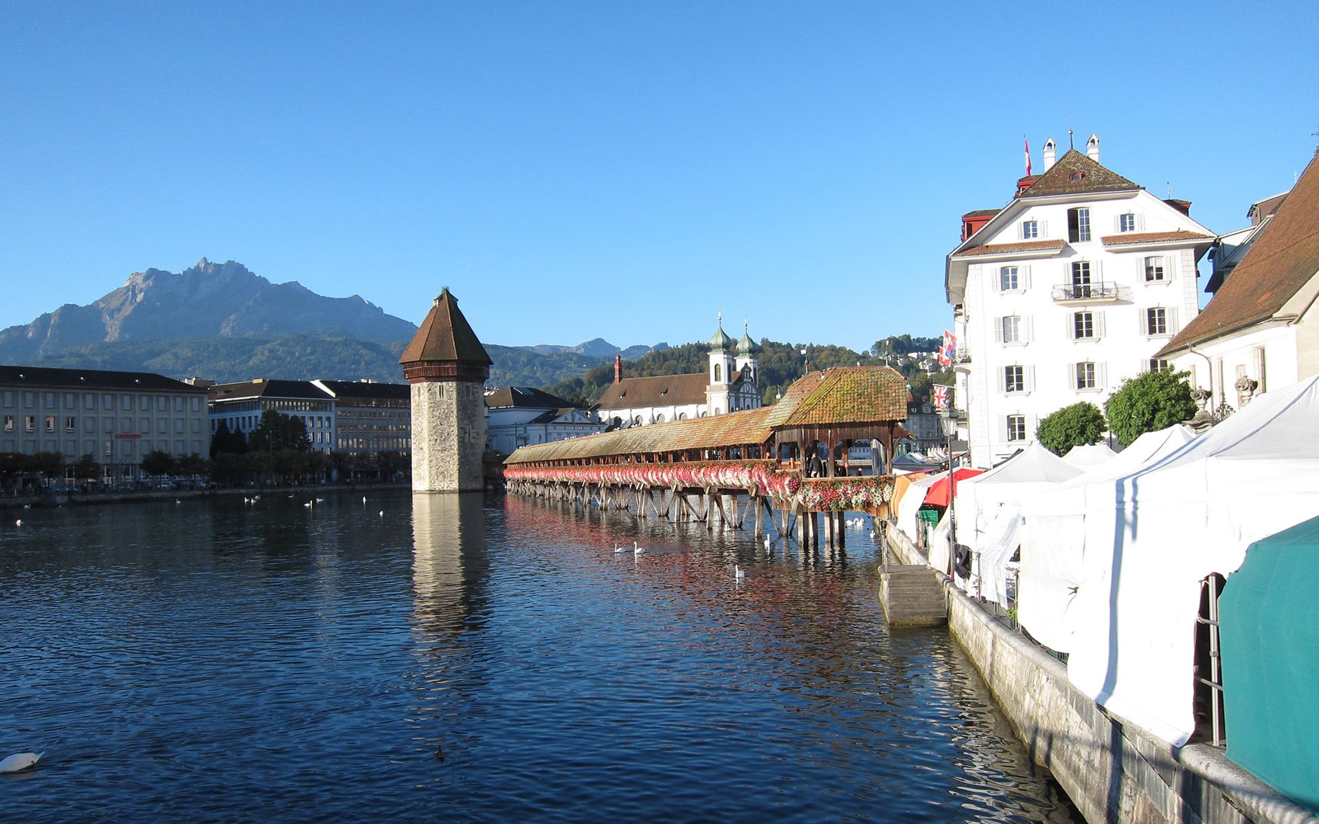 风景,瑞士风景,琉森湖,宽屏