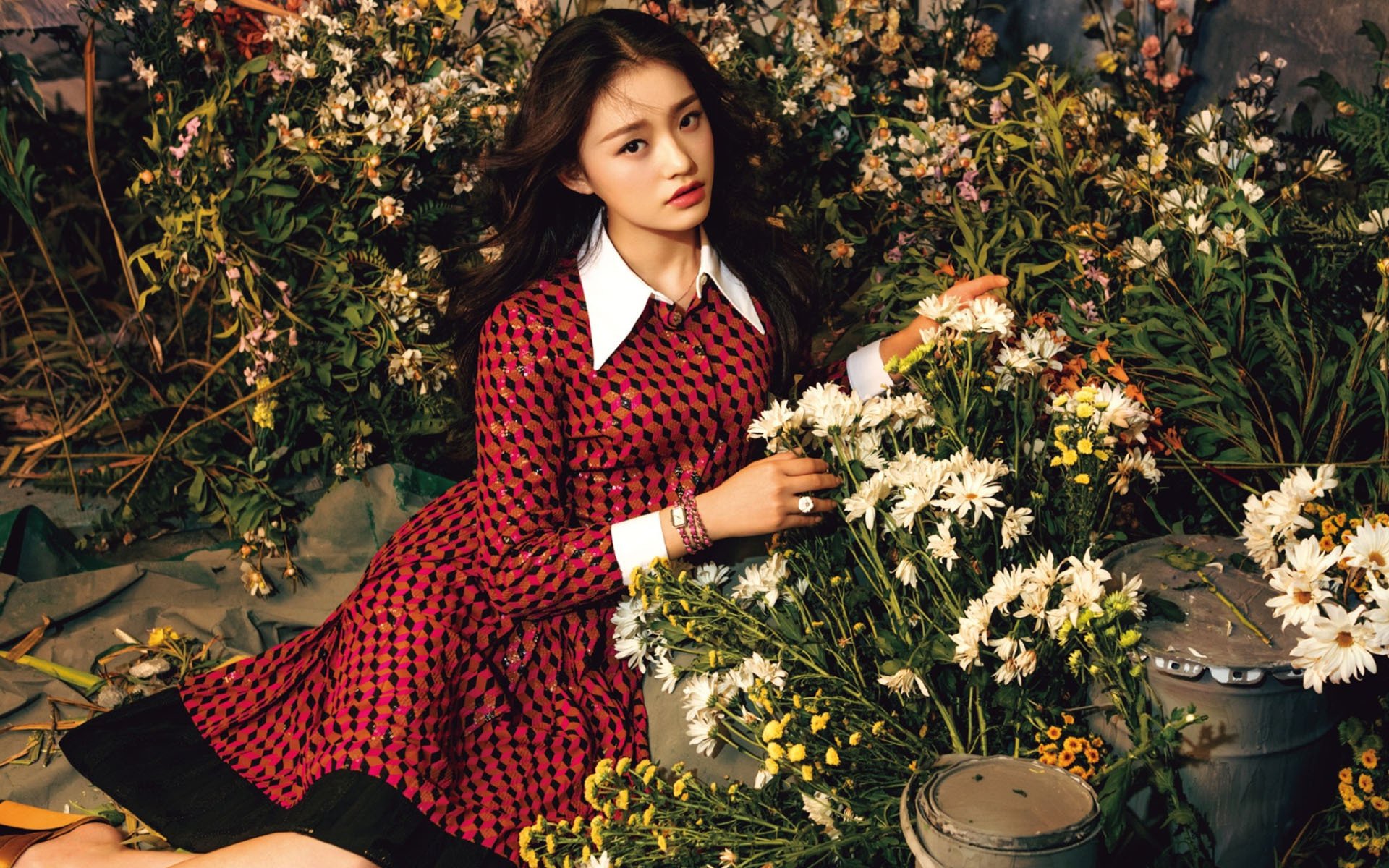 美女,明星,林允,演员