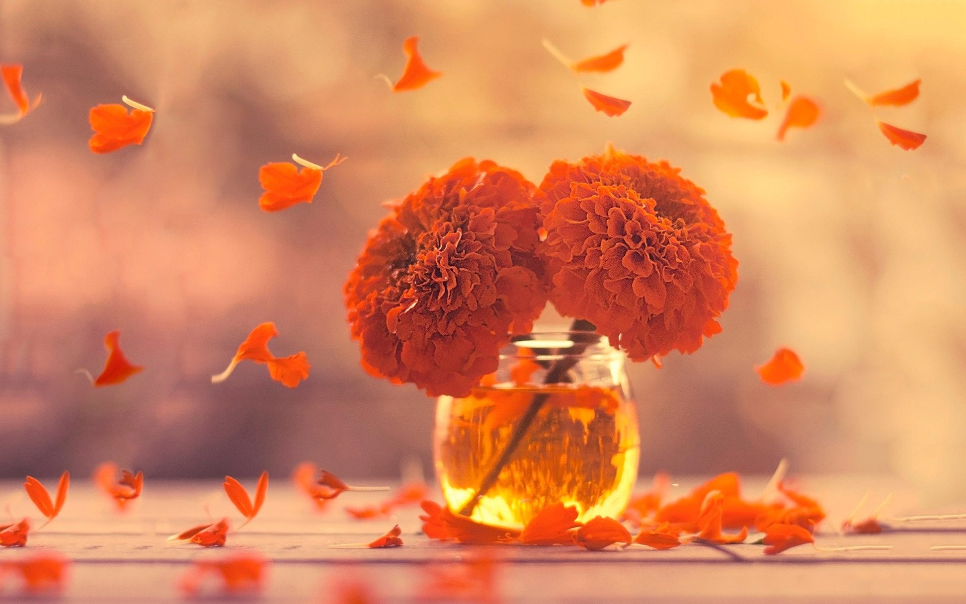 小清新,简单,温馨,可爱