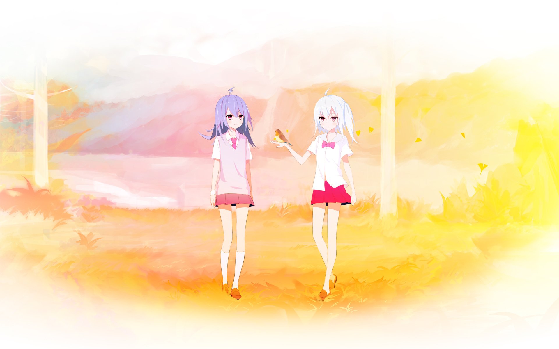 bilibili,哔哩哔哩,B站