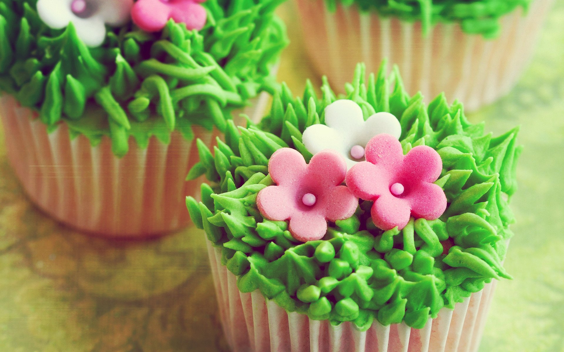 小清新,盆景,清新,可爱,宽屏