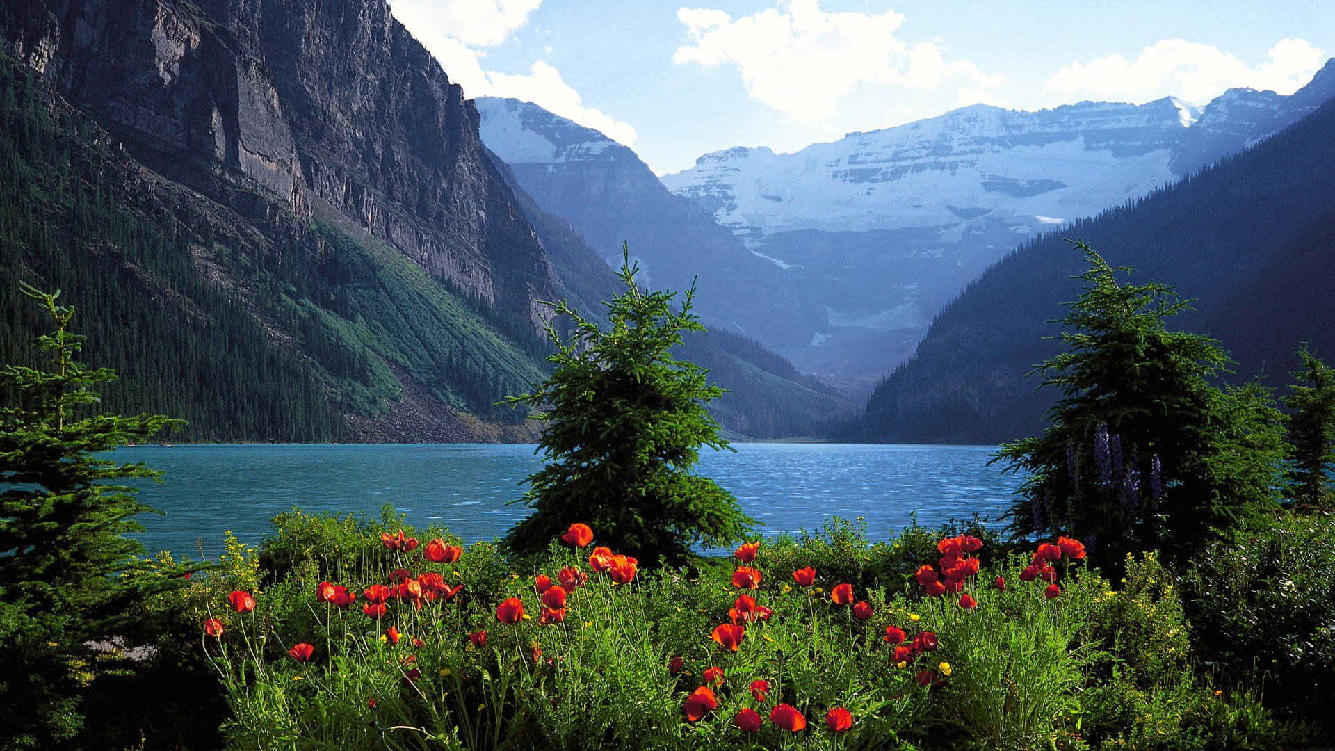 加拿大,班夫,国家公园,宽屏,风光,风景