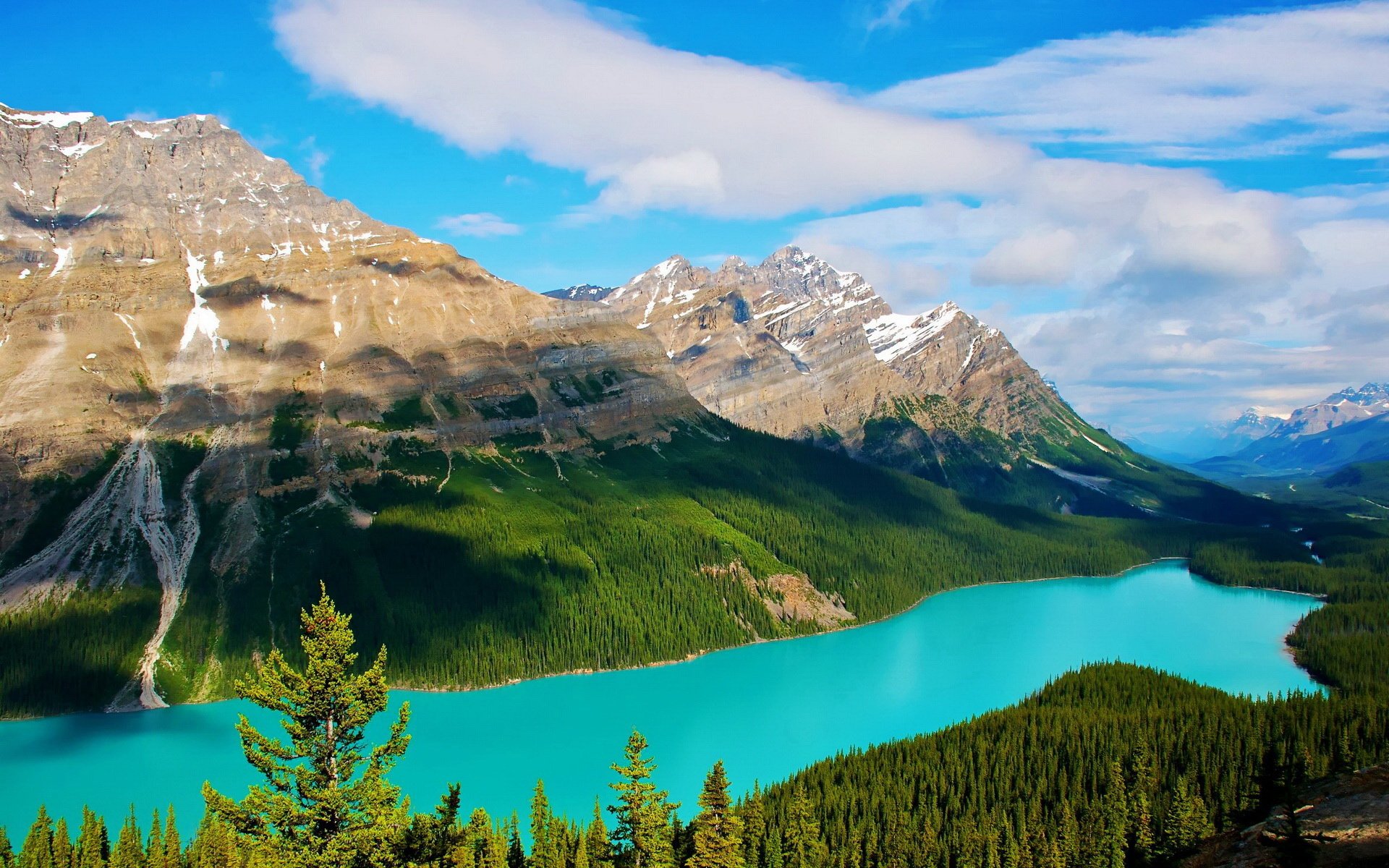 加拿大,班夫,国家公园,宽屏,风光,风景