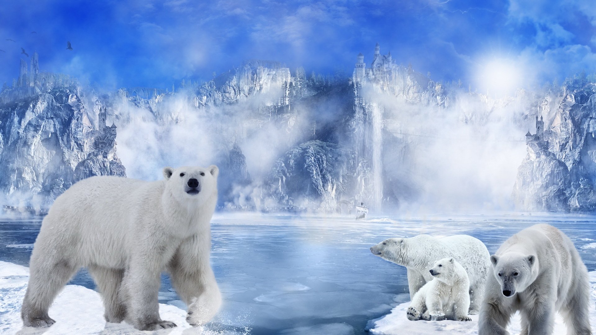 北极熊,北极,冰川