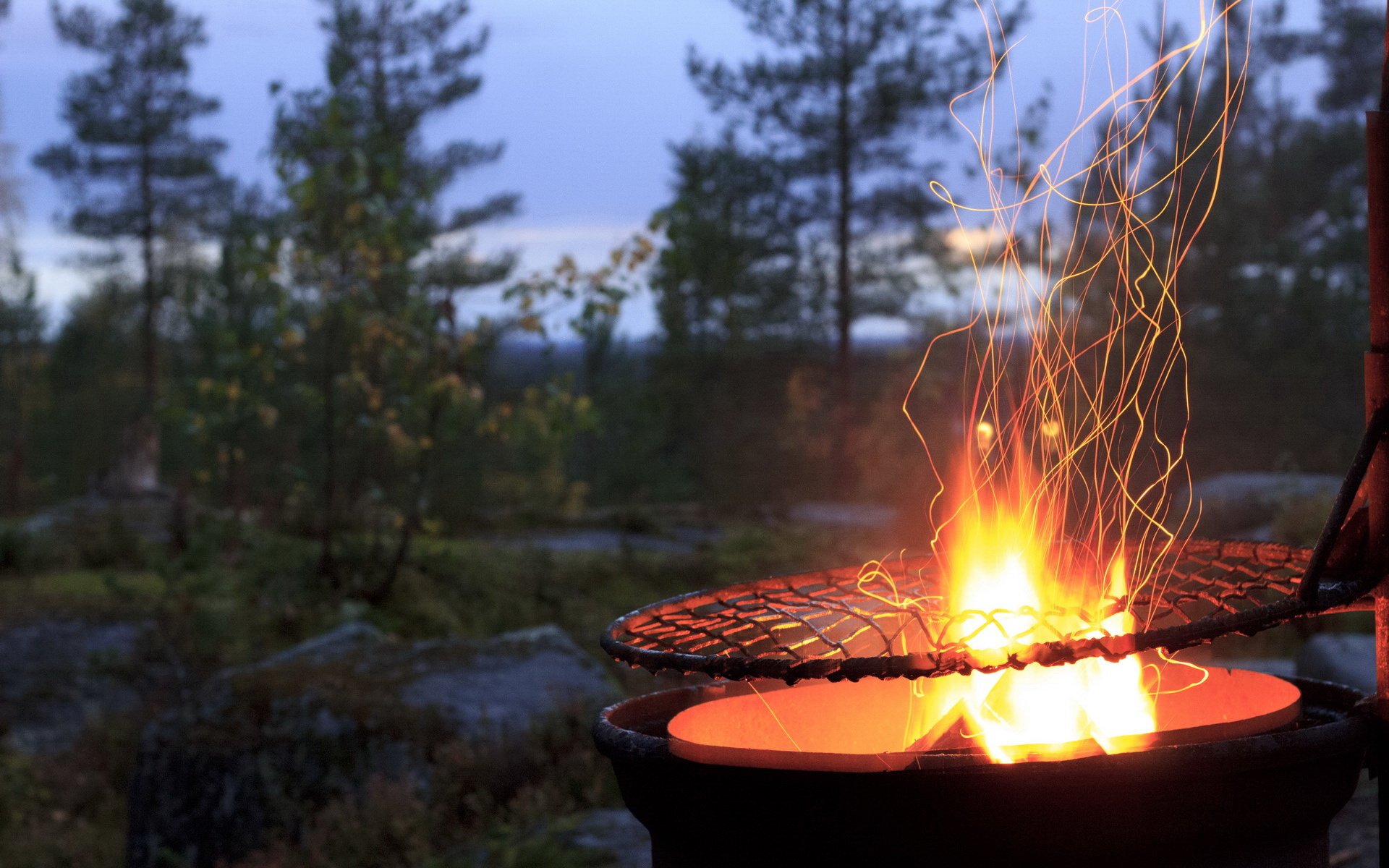 烧烤,户外,树林