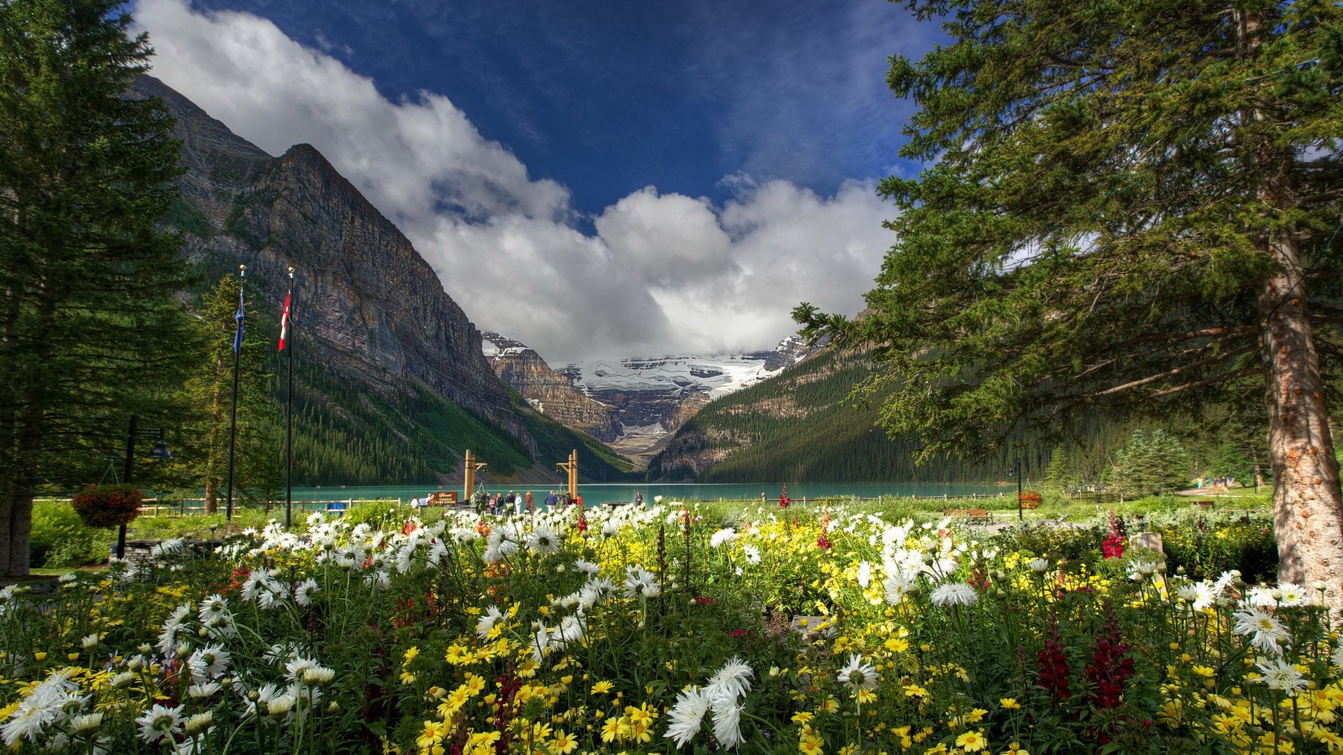 加拿大,班夫,国家公园,宽屏,风光,风景