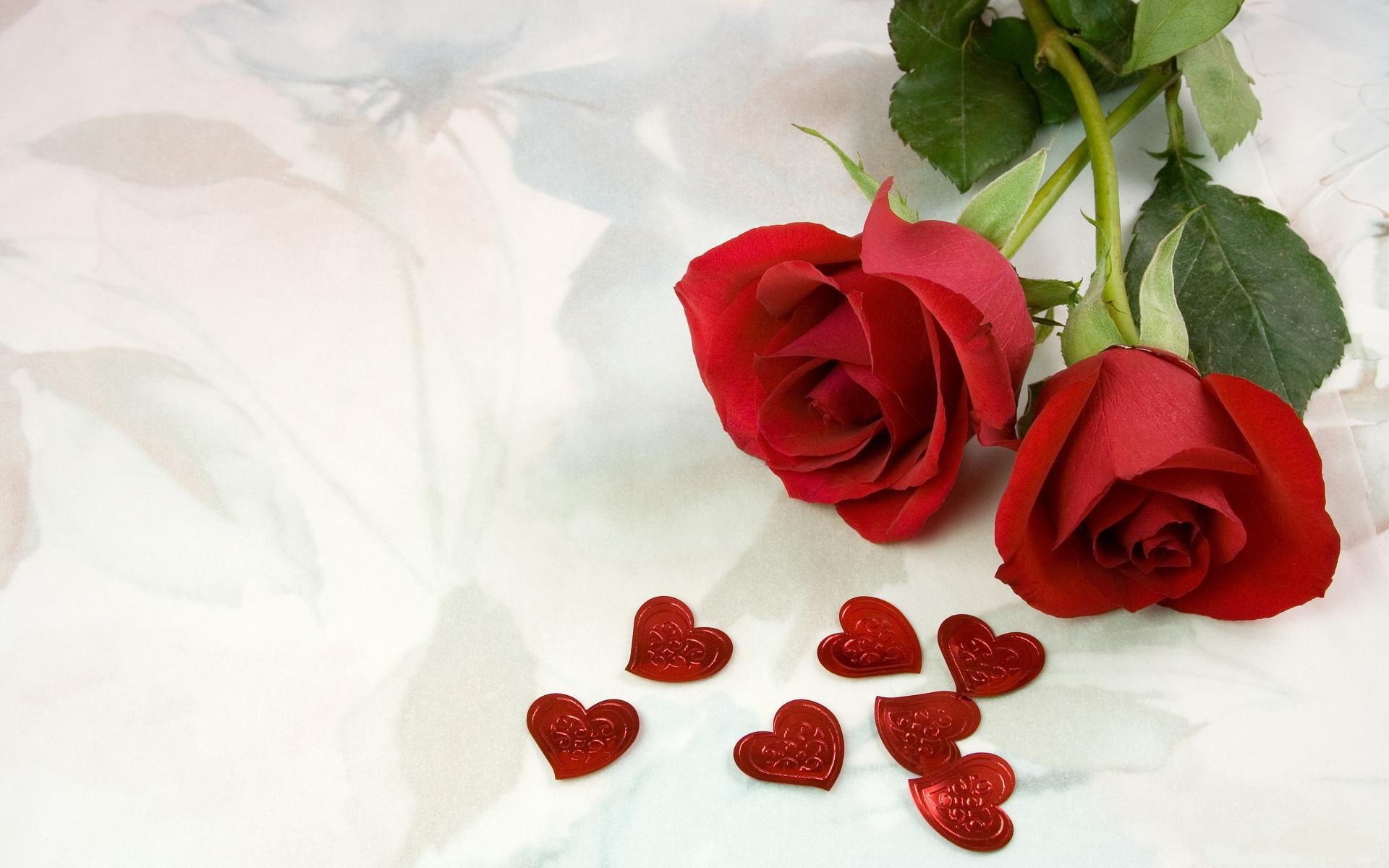 爱情,玫瑰花,爱情花,宽屏