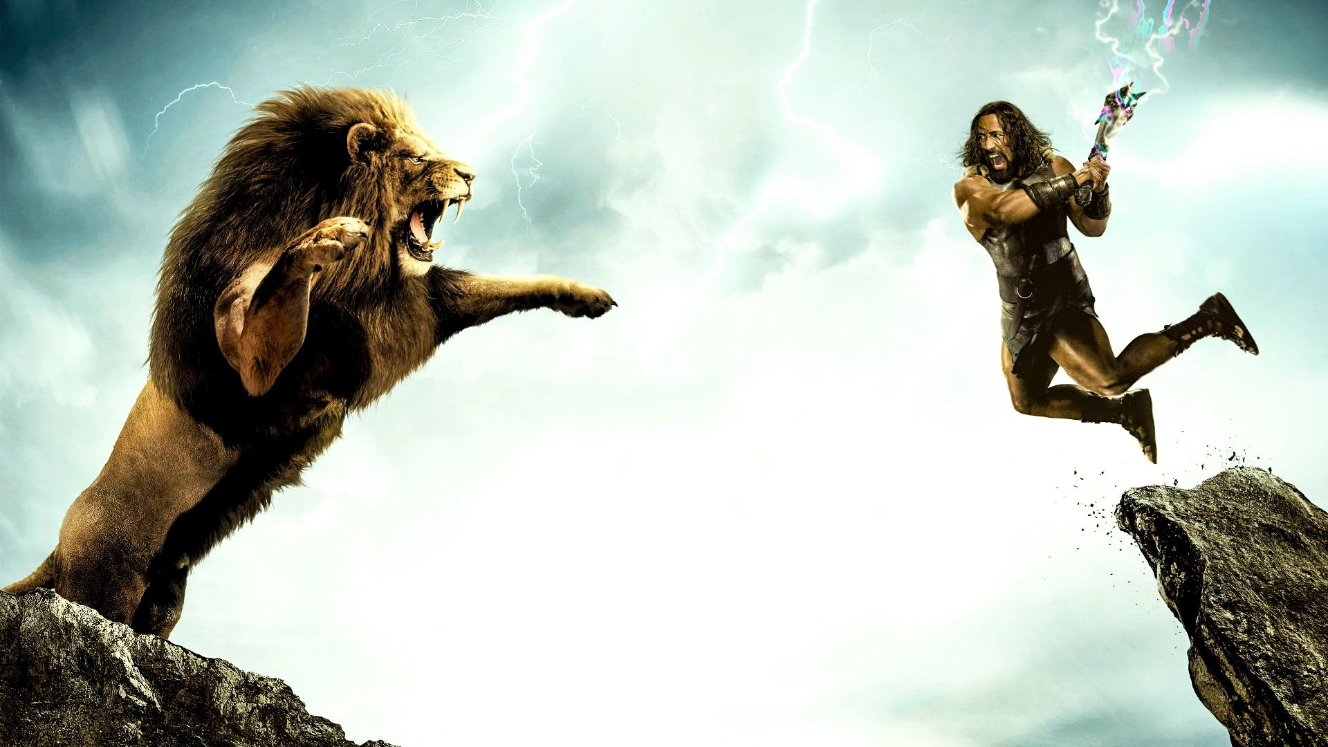 电影,狮子,雄狮