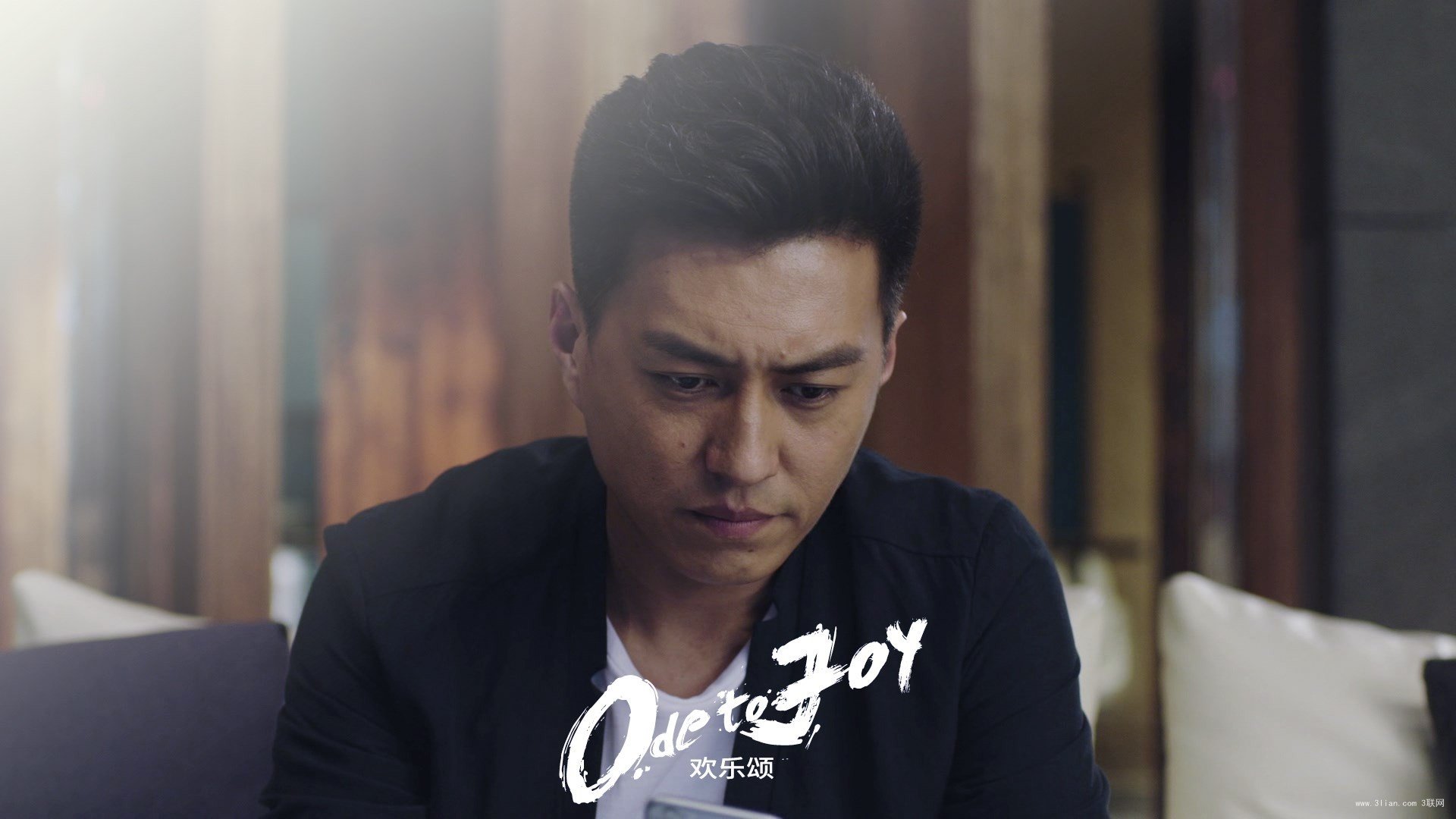 欢乐颂,爱情剧,靳东,谭宗明,都市励志