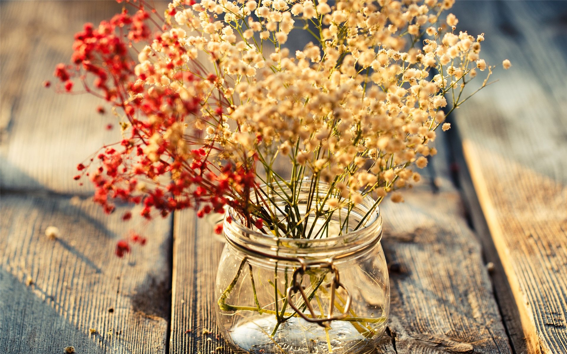 小清新,温馨,简单,宽屏