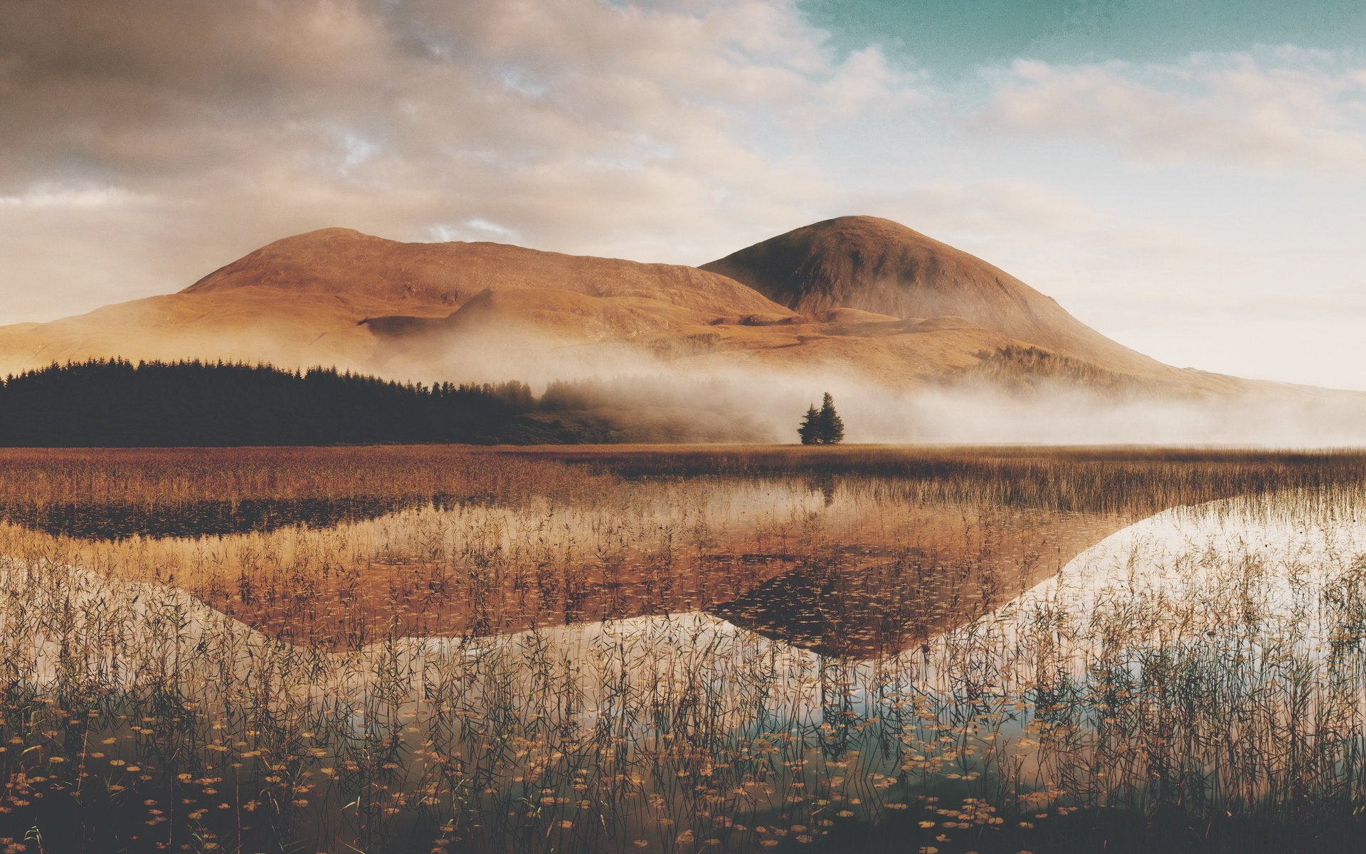 山丘,水草,河水