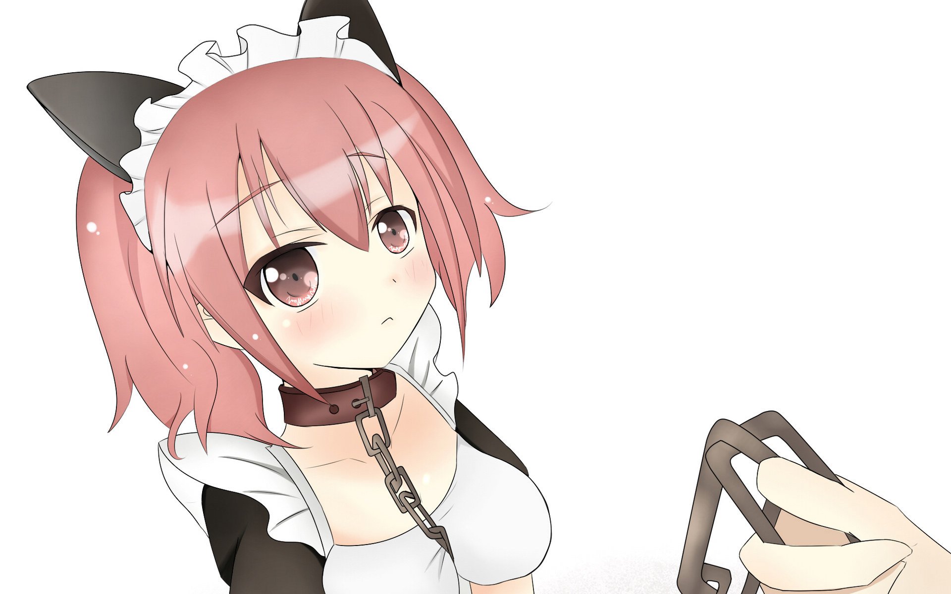 妖狐X仆SS,情感,搞笑,少女,髅髅宫歌留多,动漫