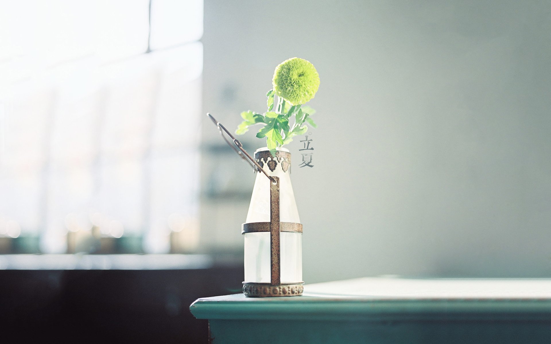 节日,节气,立夏,清新,宽屏