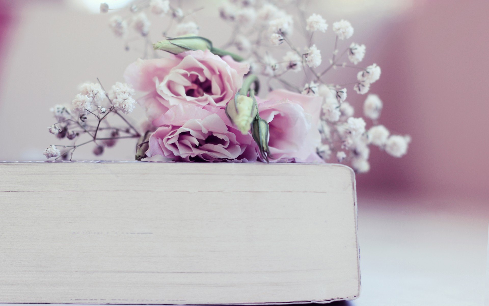 小清新,简单,和谐,宽屏