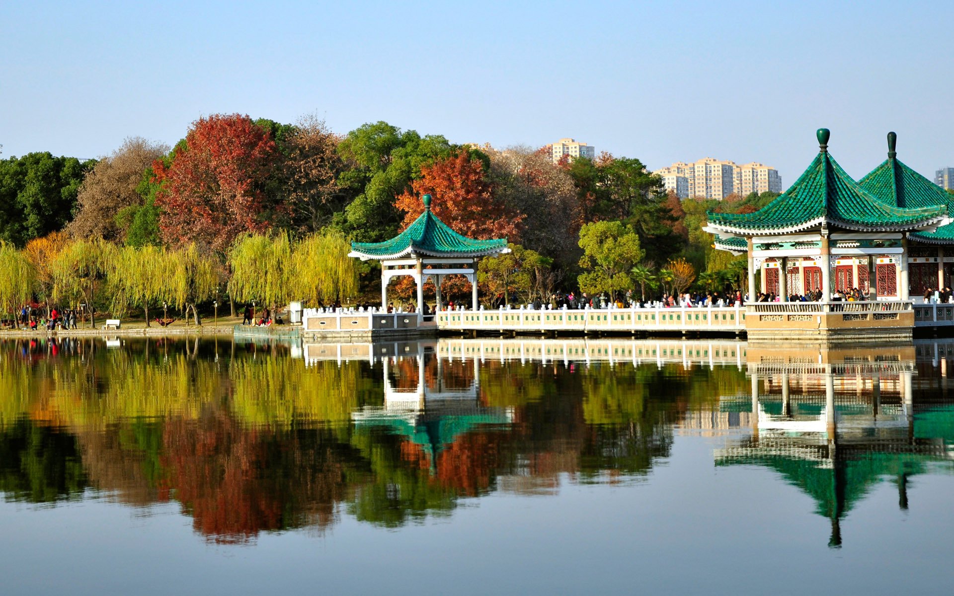 风景,武汉东湖,景色宜人,阳光明媚,宽屏