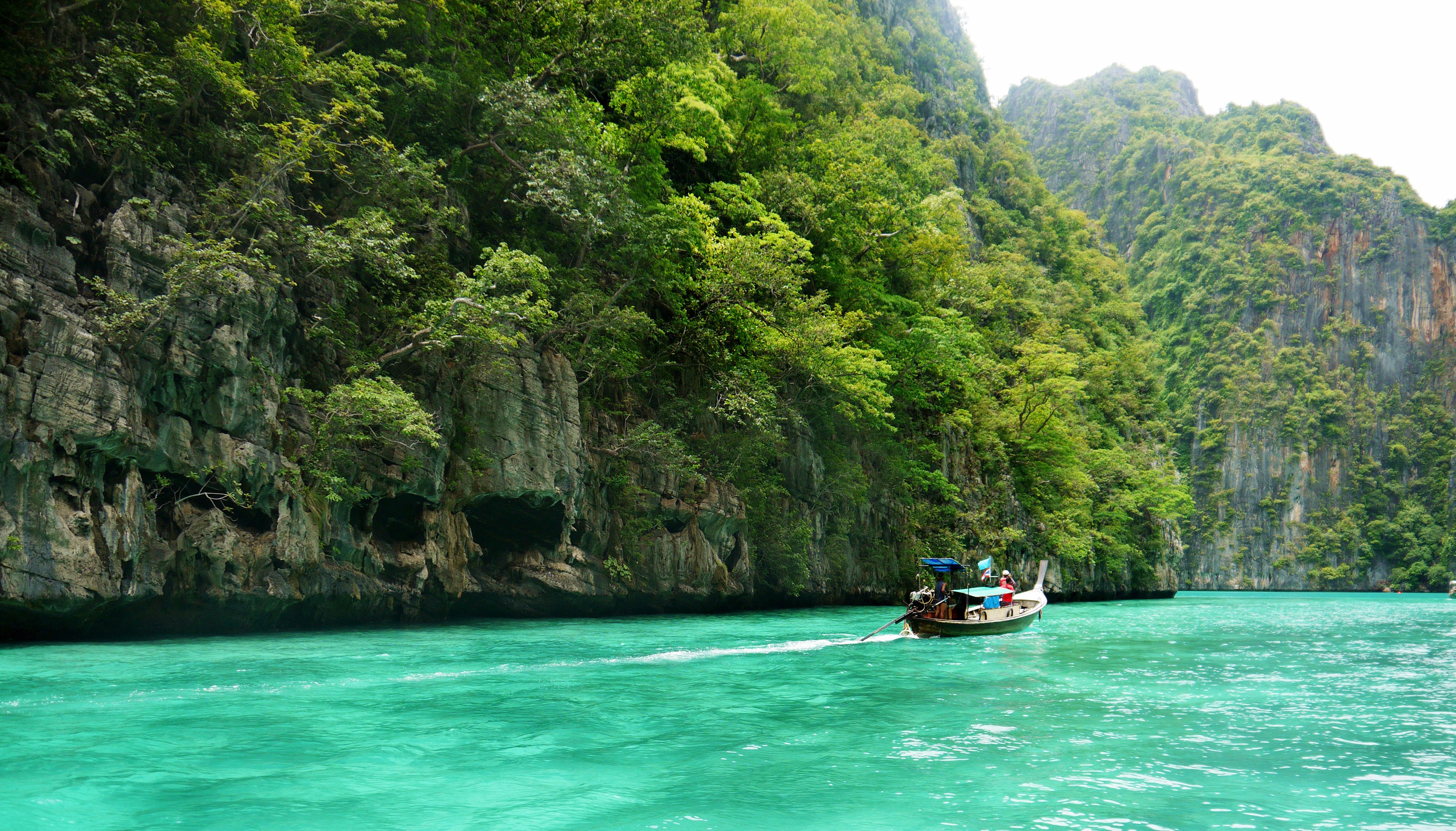 绿色,风景,美景