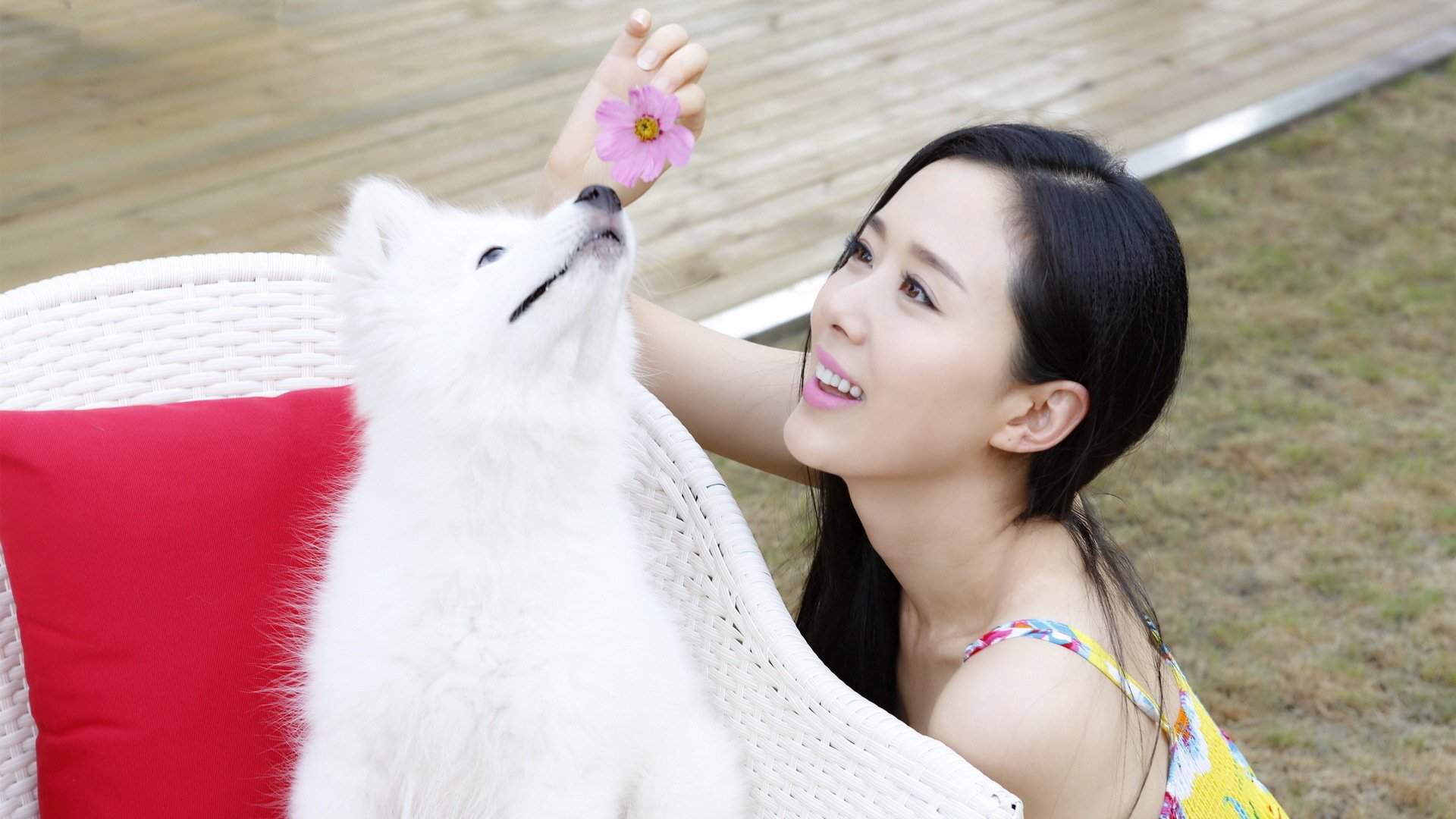 颜丹晨,美女,明星,宽屏