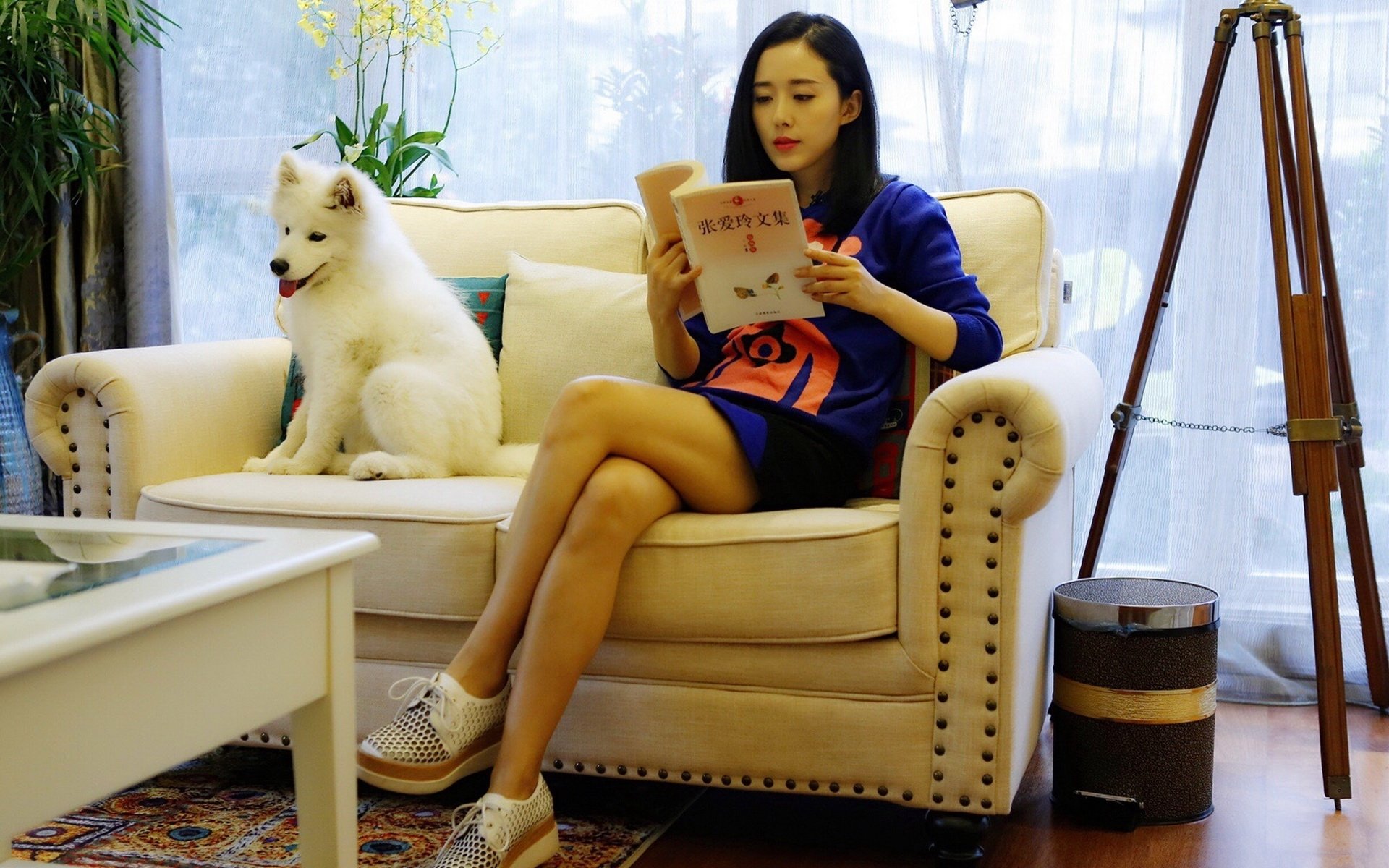 颜丹晨,美女,明星,宽屏