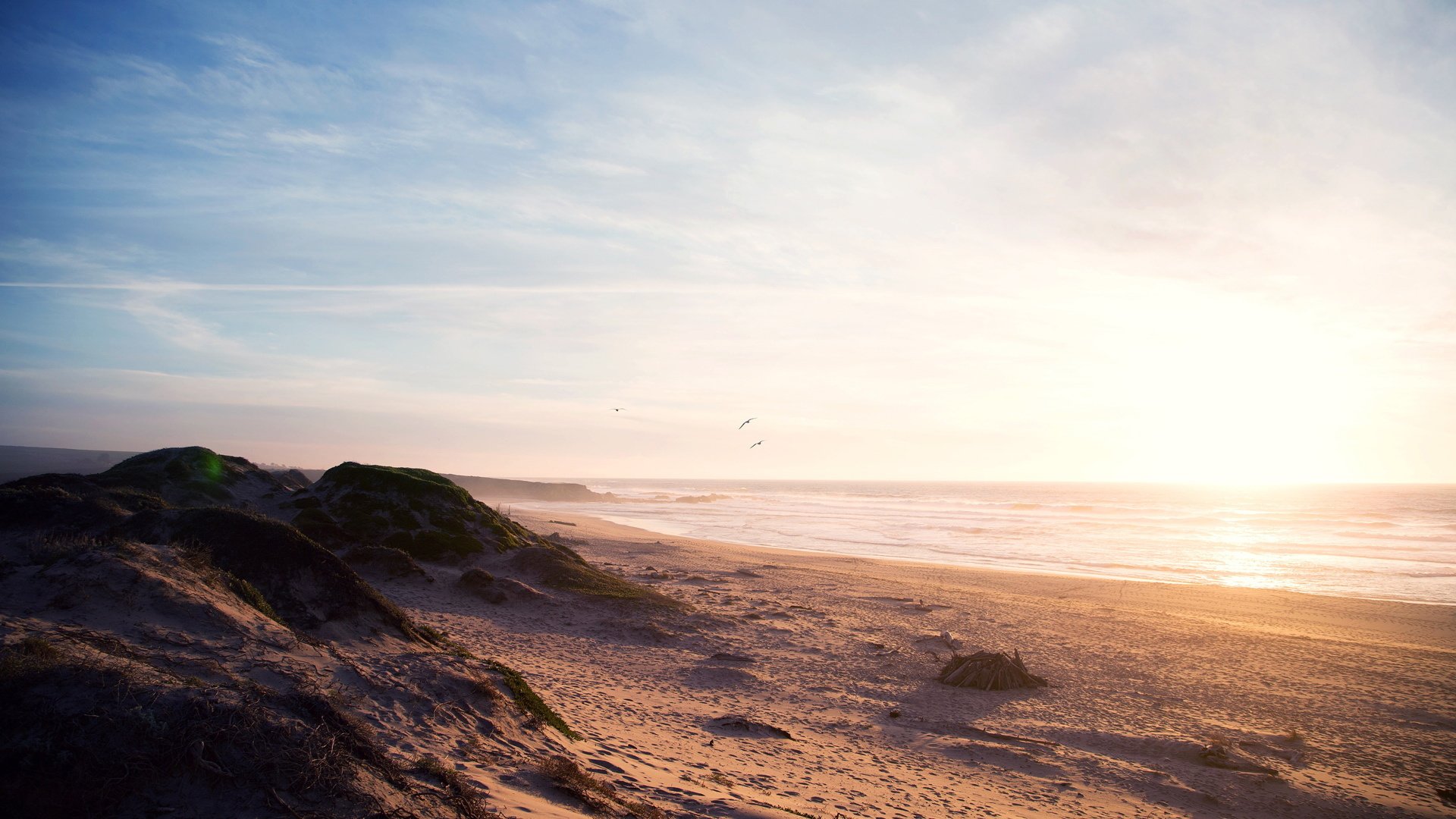 风景,海滩,海边,大海,海鸥,落日,傍晚