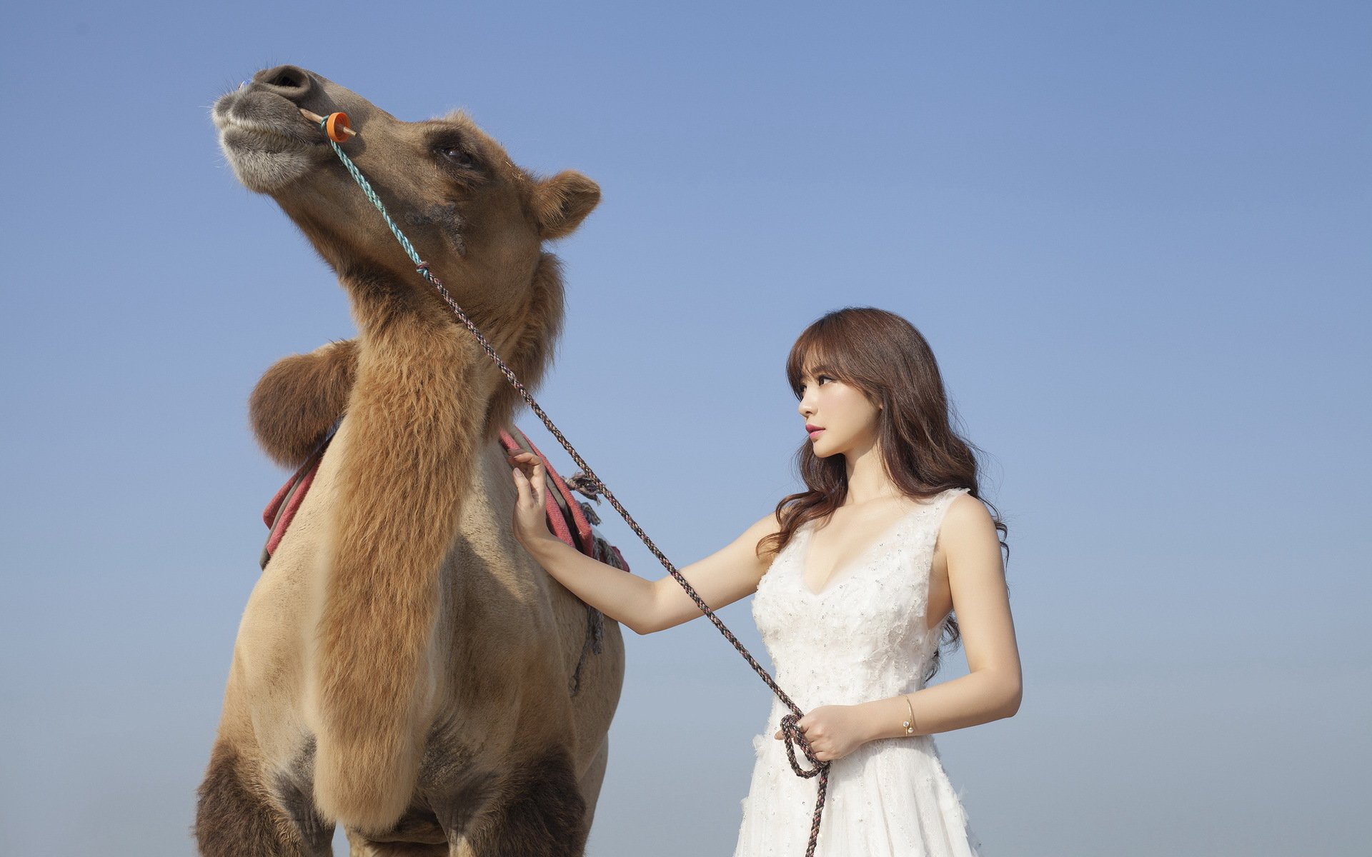 明星,柳岩,美女,性感