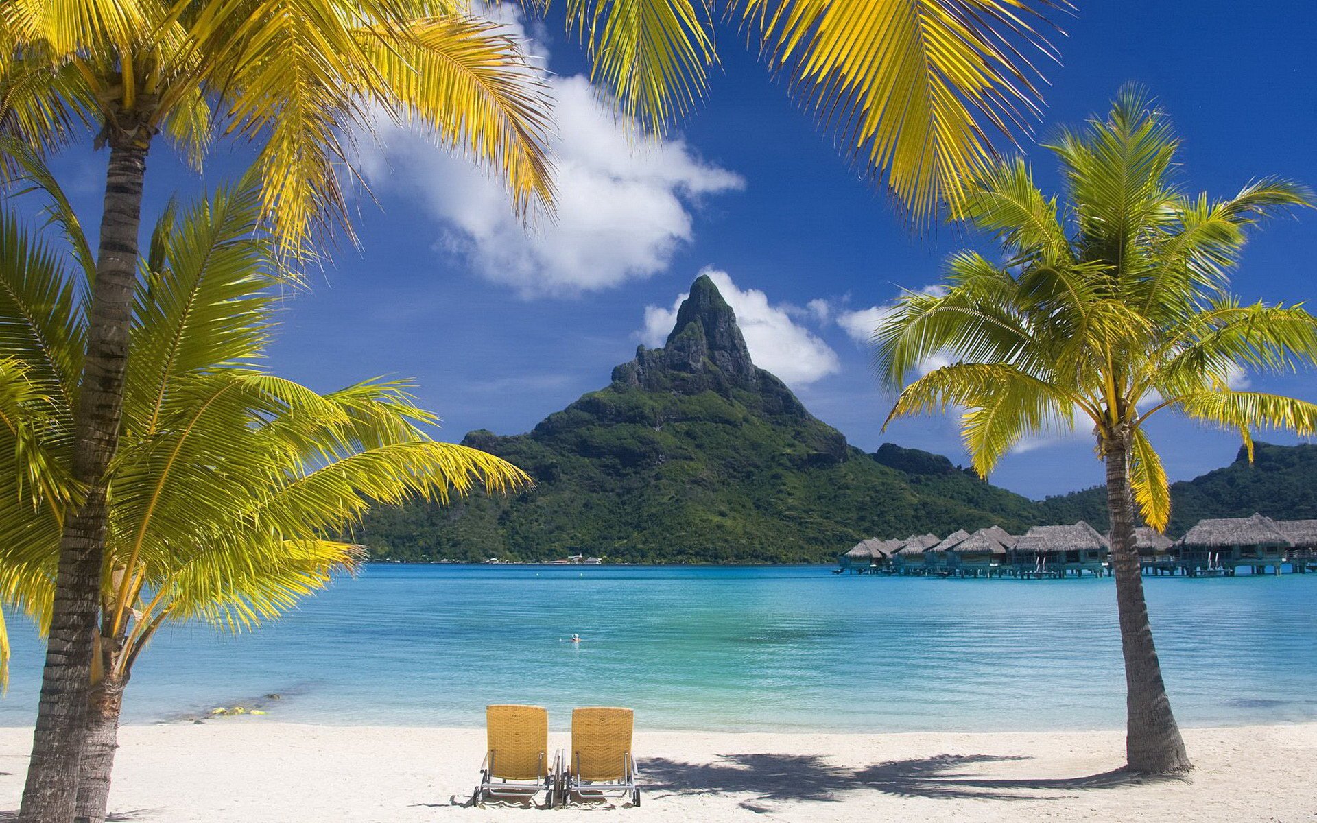 风景,蔚蓝大海,椰树,蓝天白云,宽屏