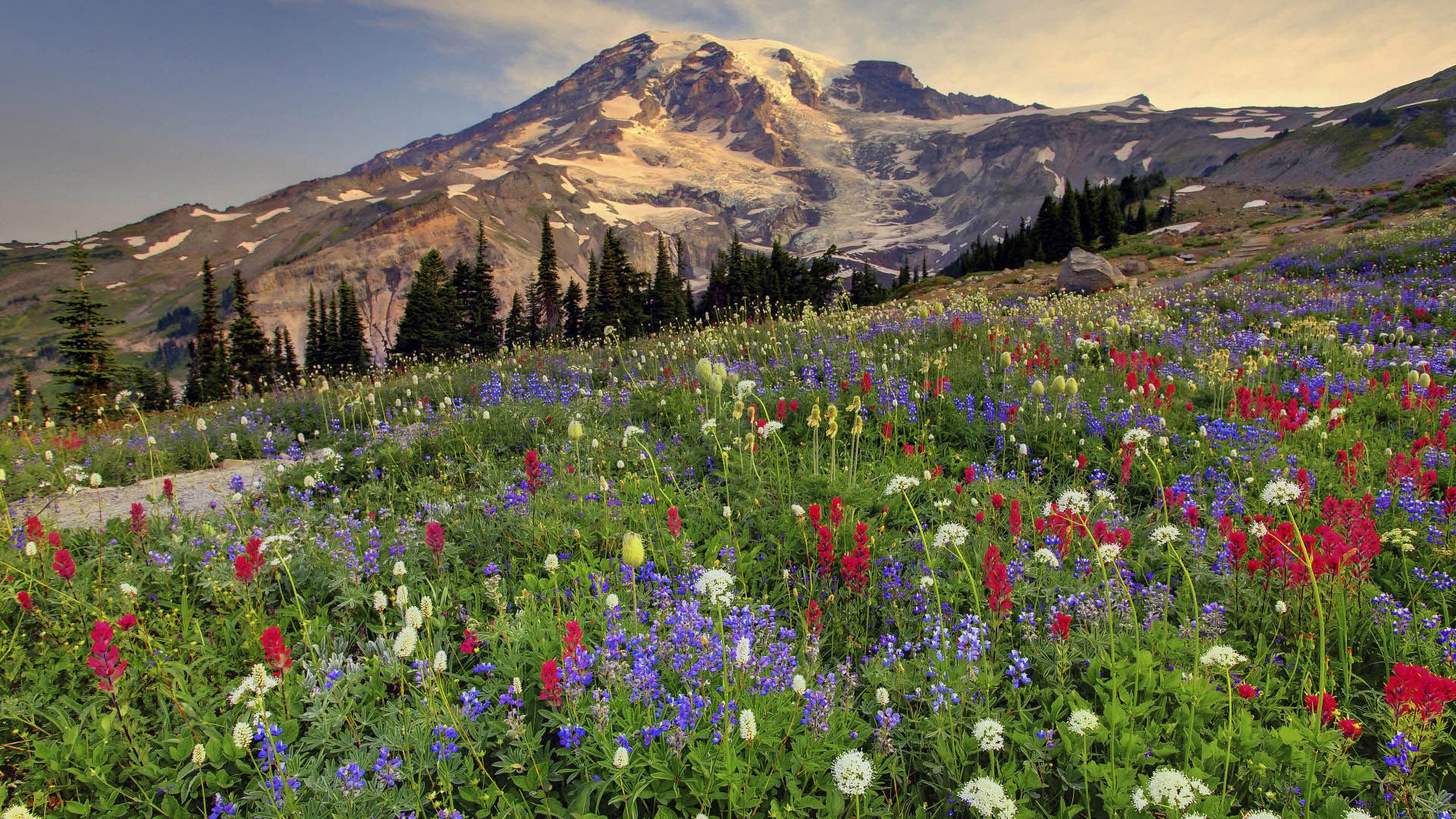 雪山,风景,美景,花园