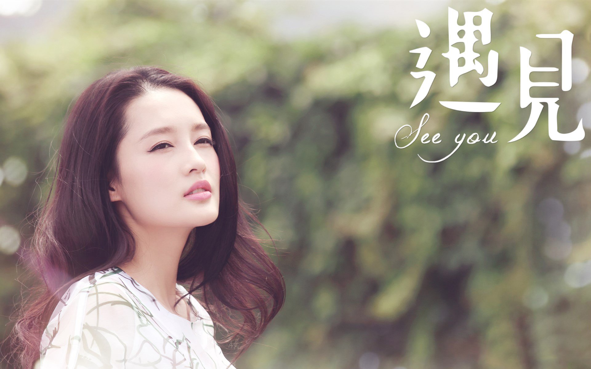 李沁,红楼梦,薛宝钗,演员,气质美女,明星