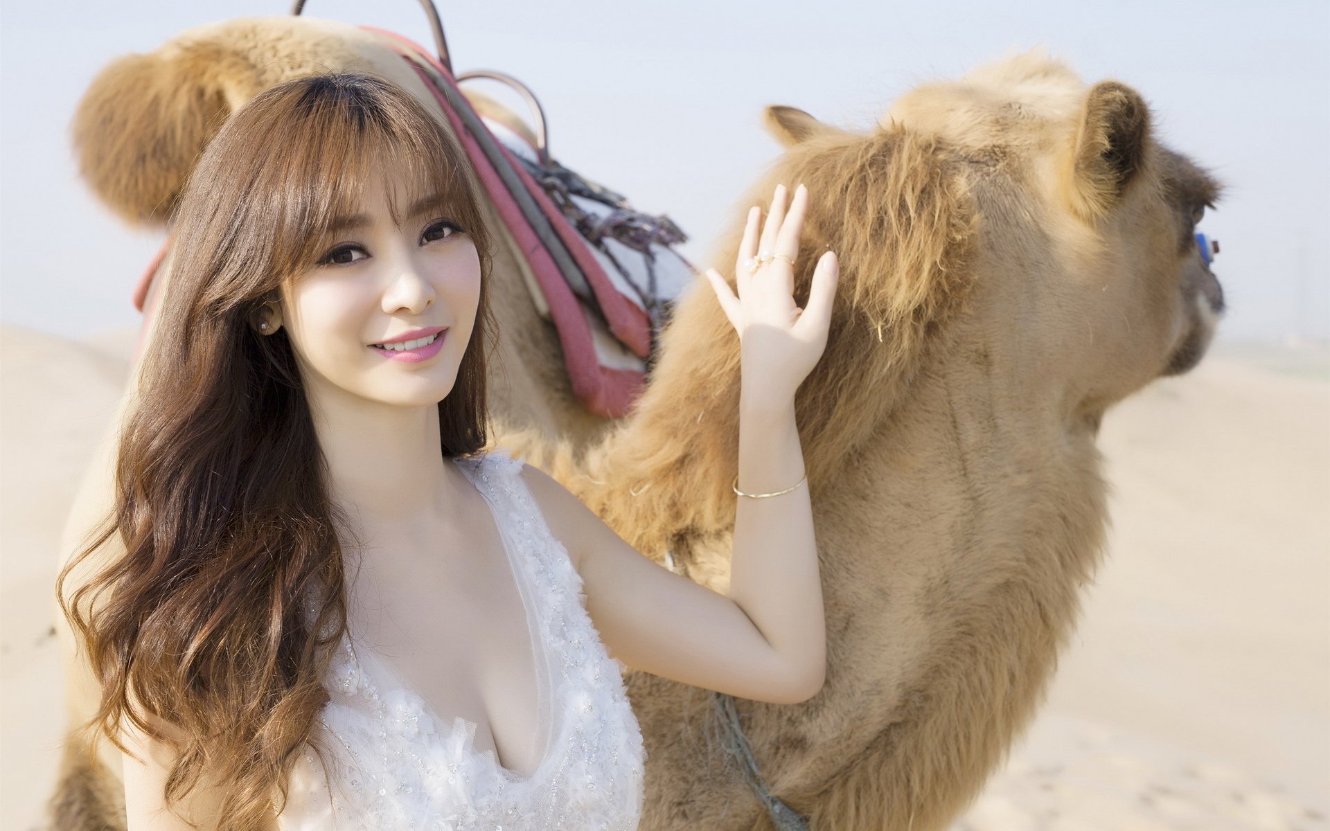 明星,柳岩,美女,性感