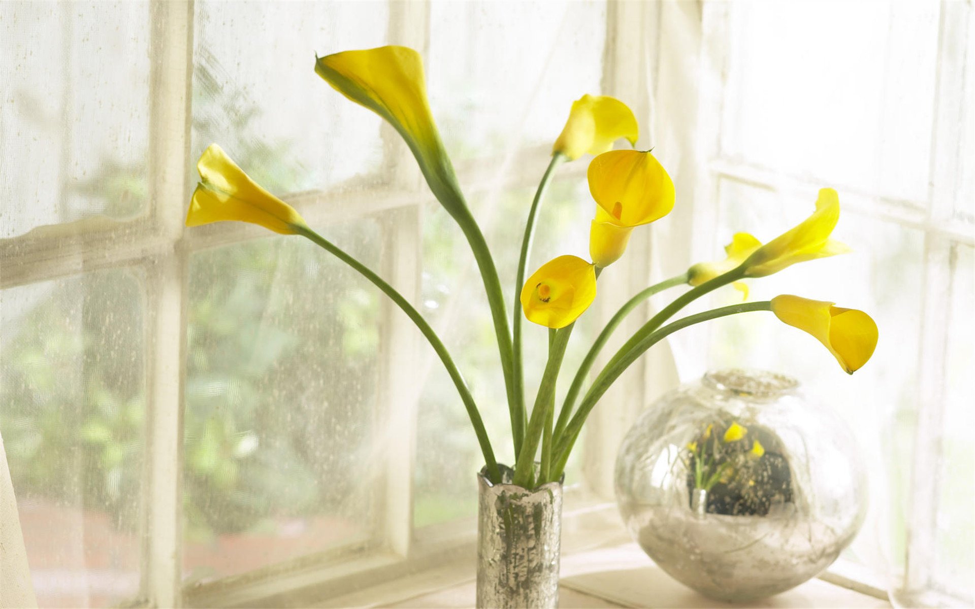 小清新,插花,盆景,简单可爱,宽屏