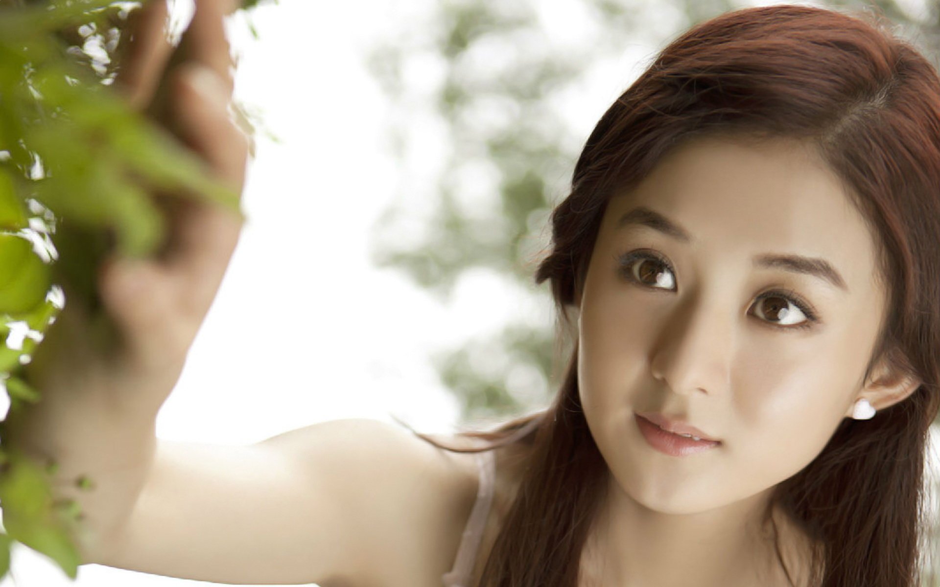 赵丽颖,明星,美女