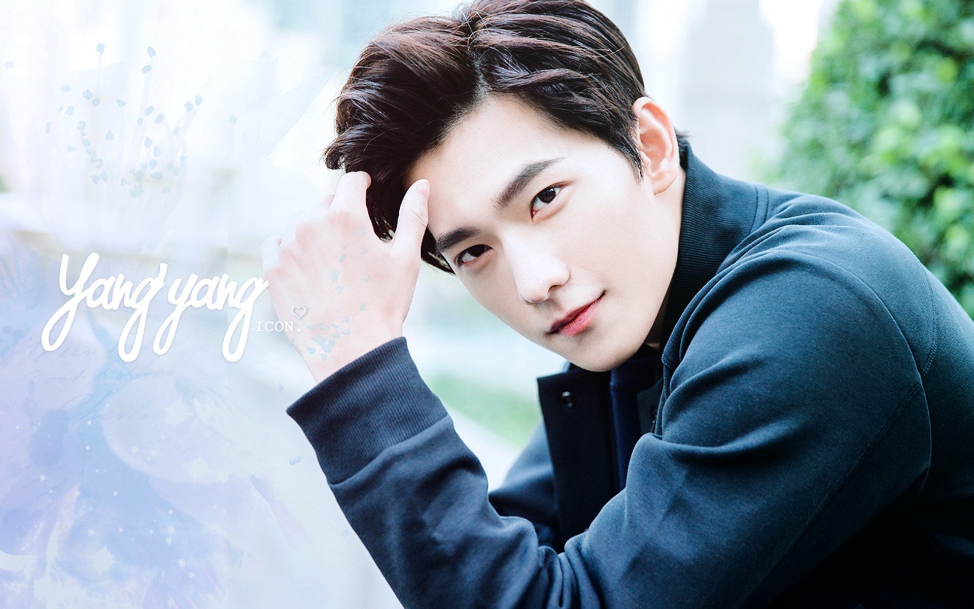 杨洋,演员,小鲜肉,帅哥,明星,宽屏