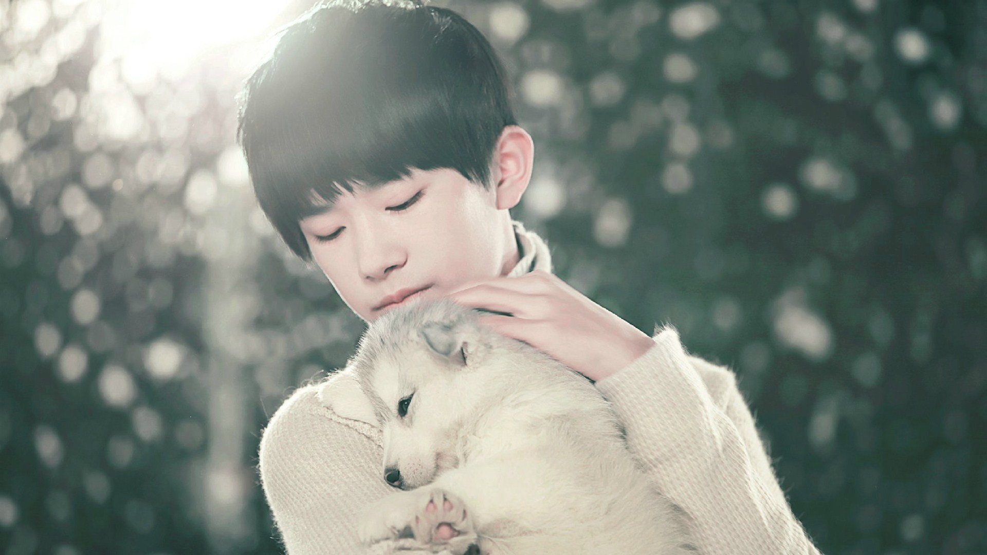 明星,组合,小鲜肉,TFBOY