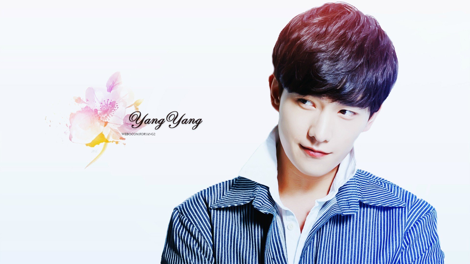 明星,杨洋