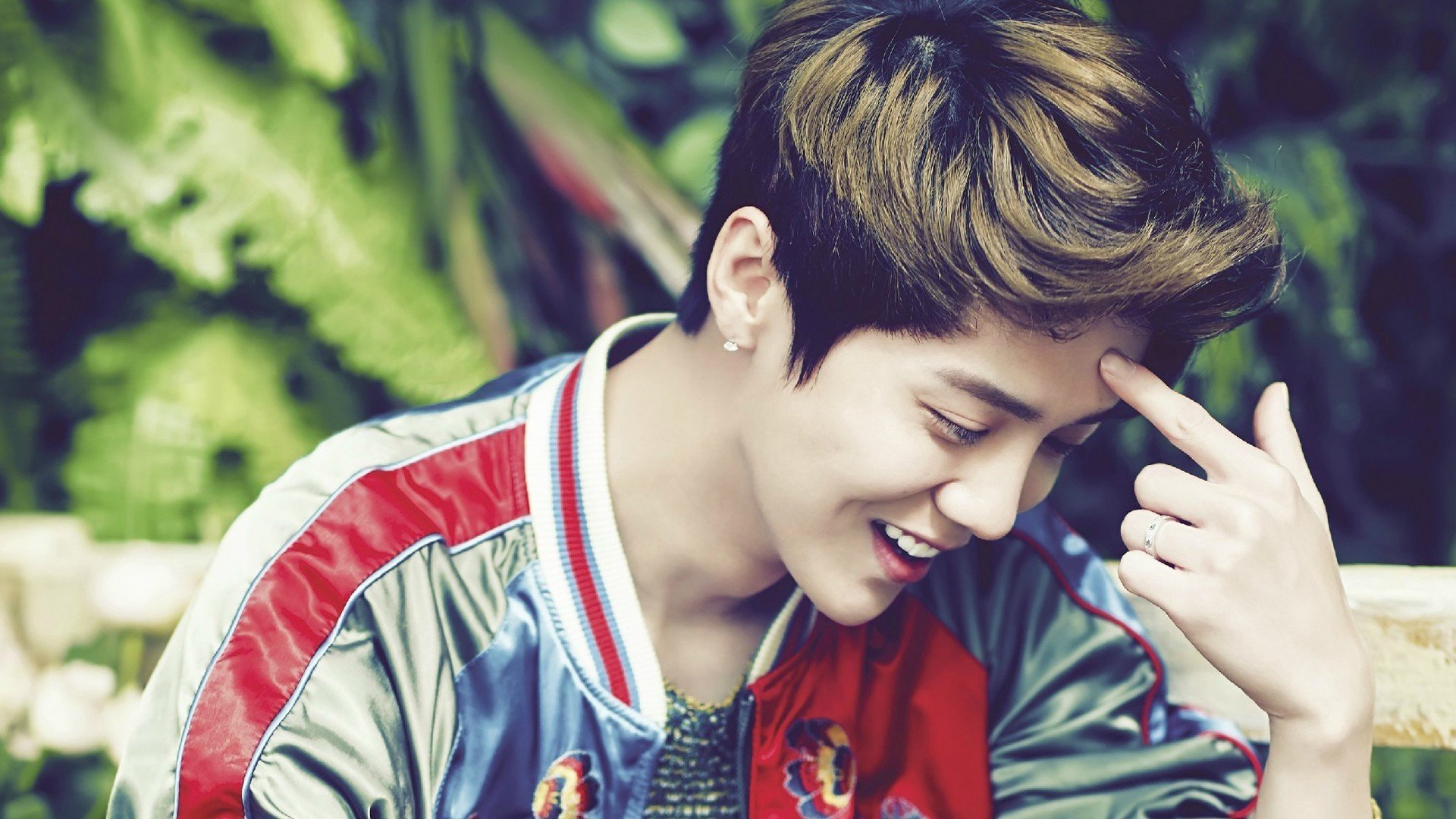 鹿晗,小鹿,傻狍子,明星