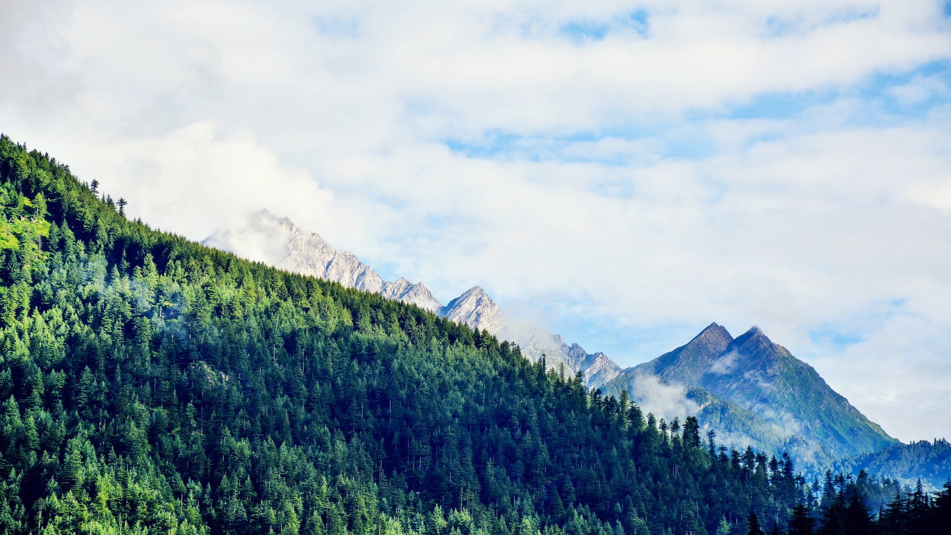 风景,风尚,蓝天白云,丛林,树林,护眼