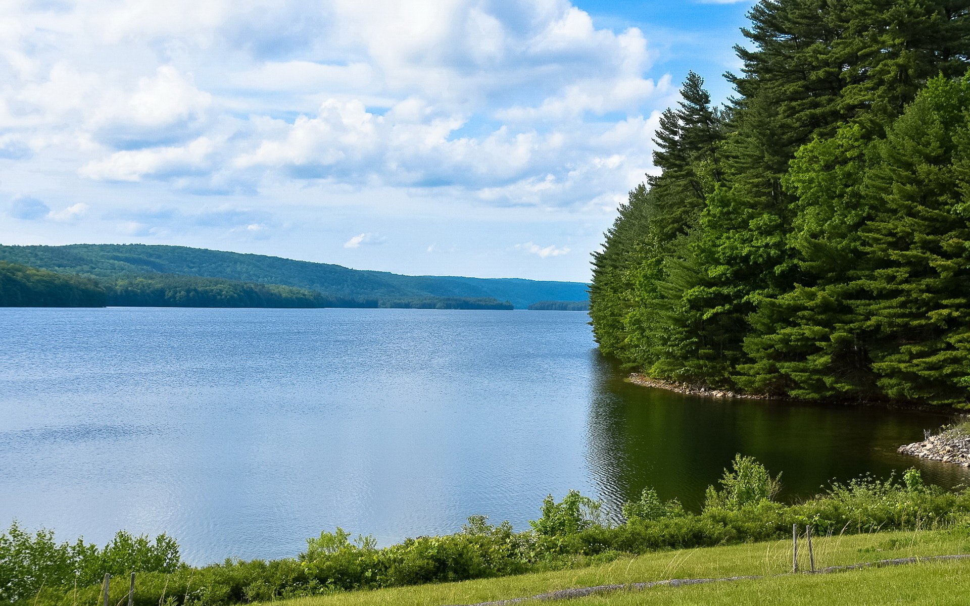 风景,风光,江边,丛林,蓝天,护眼,大自然