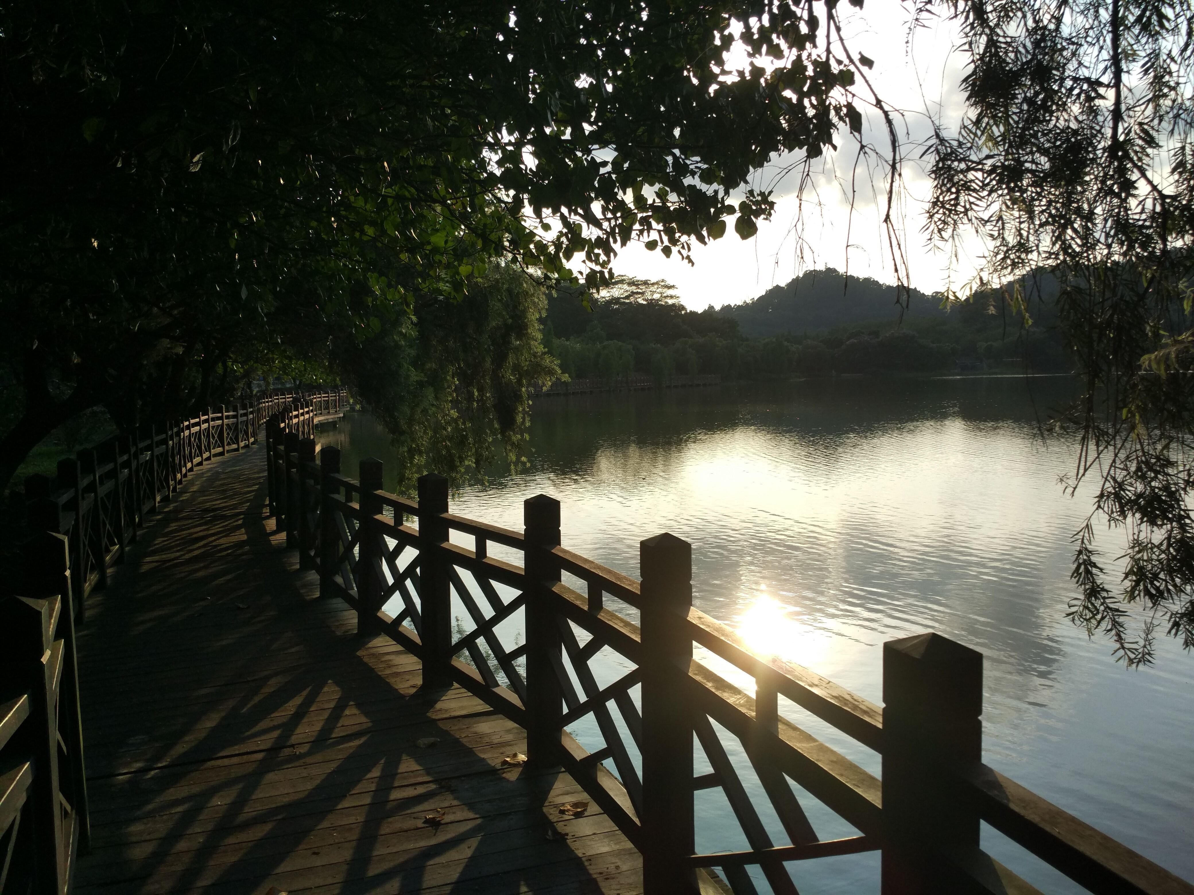 自然,湖泊,幽静