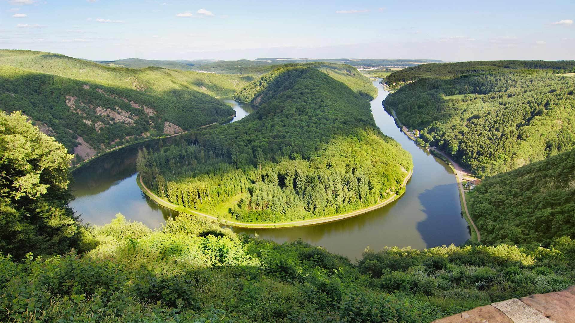 风景,草地,养眼