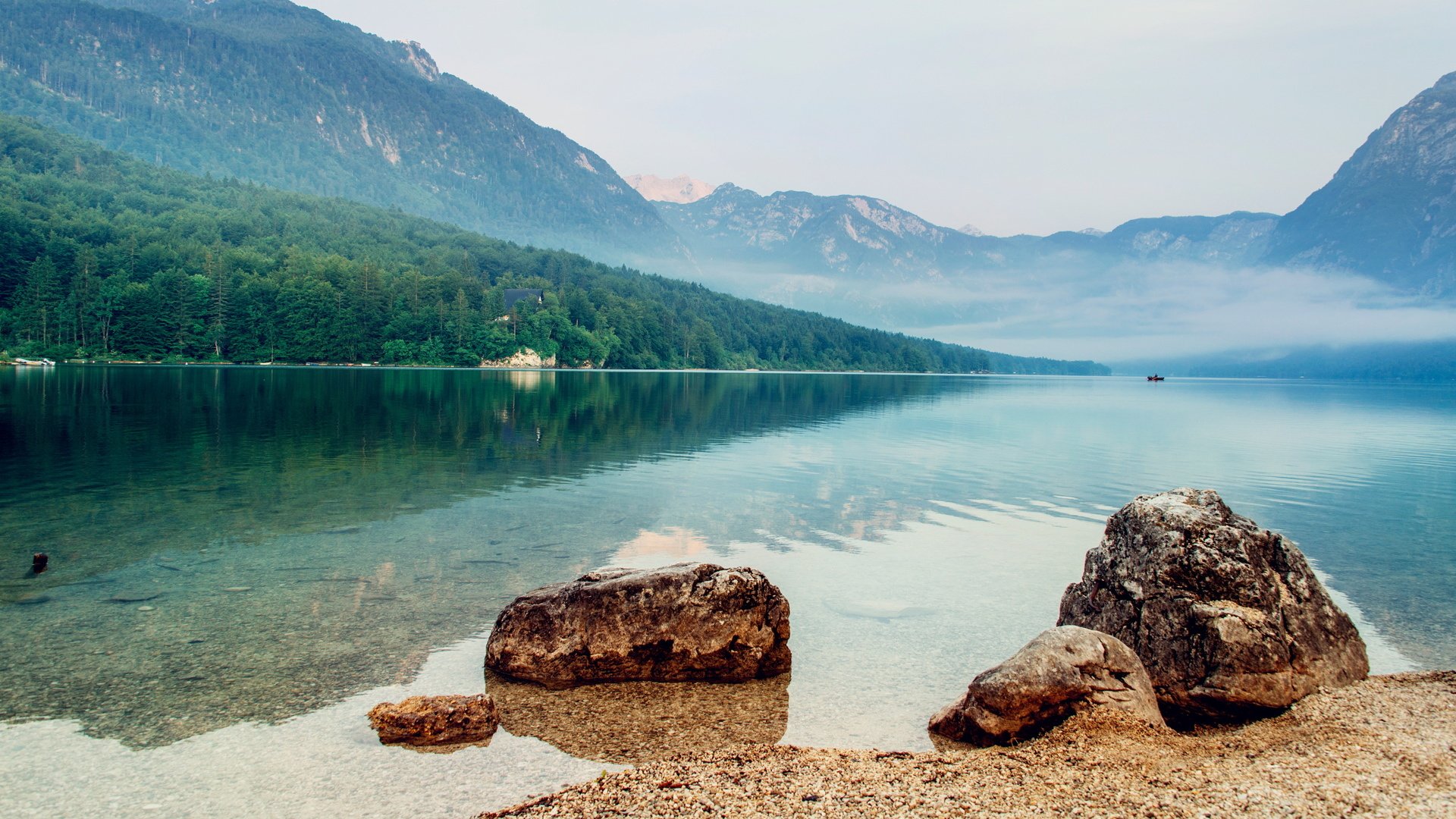 风景,草地,养眼