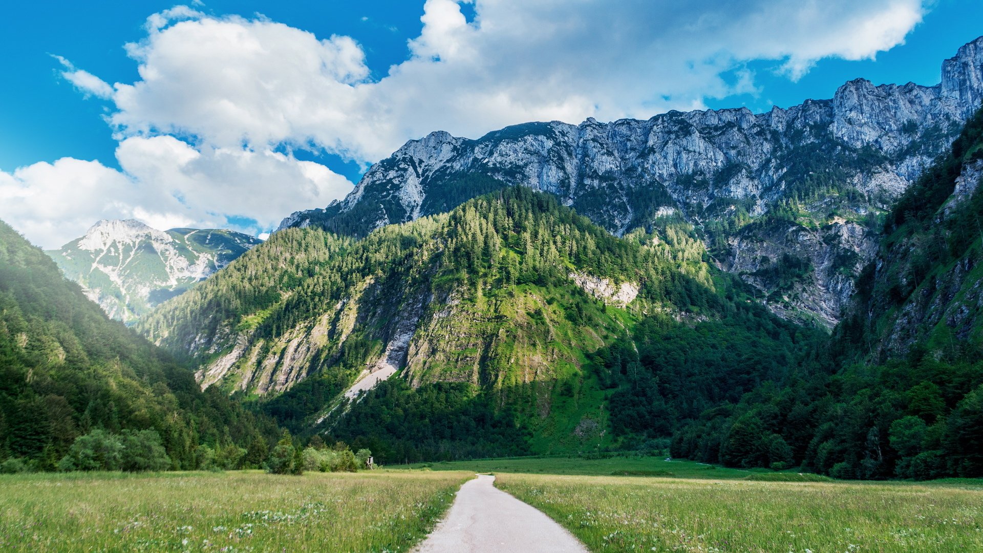 风景,草地,养眼