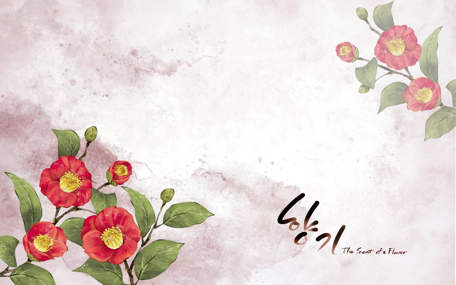 小清新,浪漫,简约,花卉,宽屏