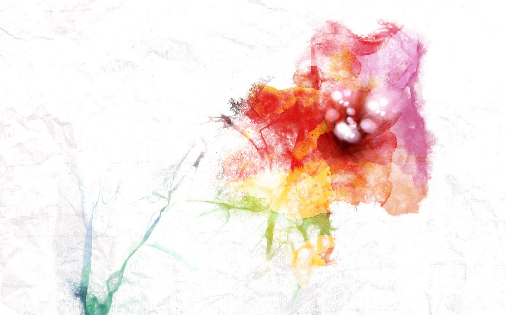 小清新,浪漫,简约,花卉,宽屏