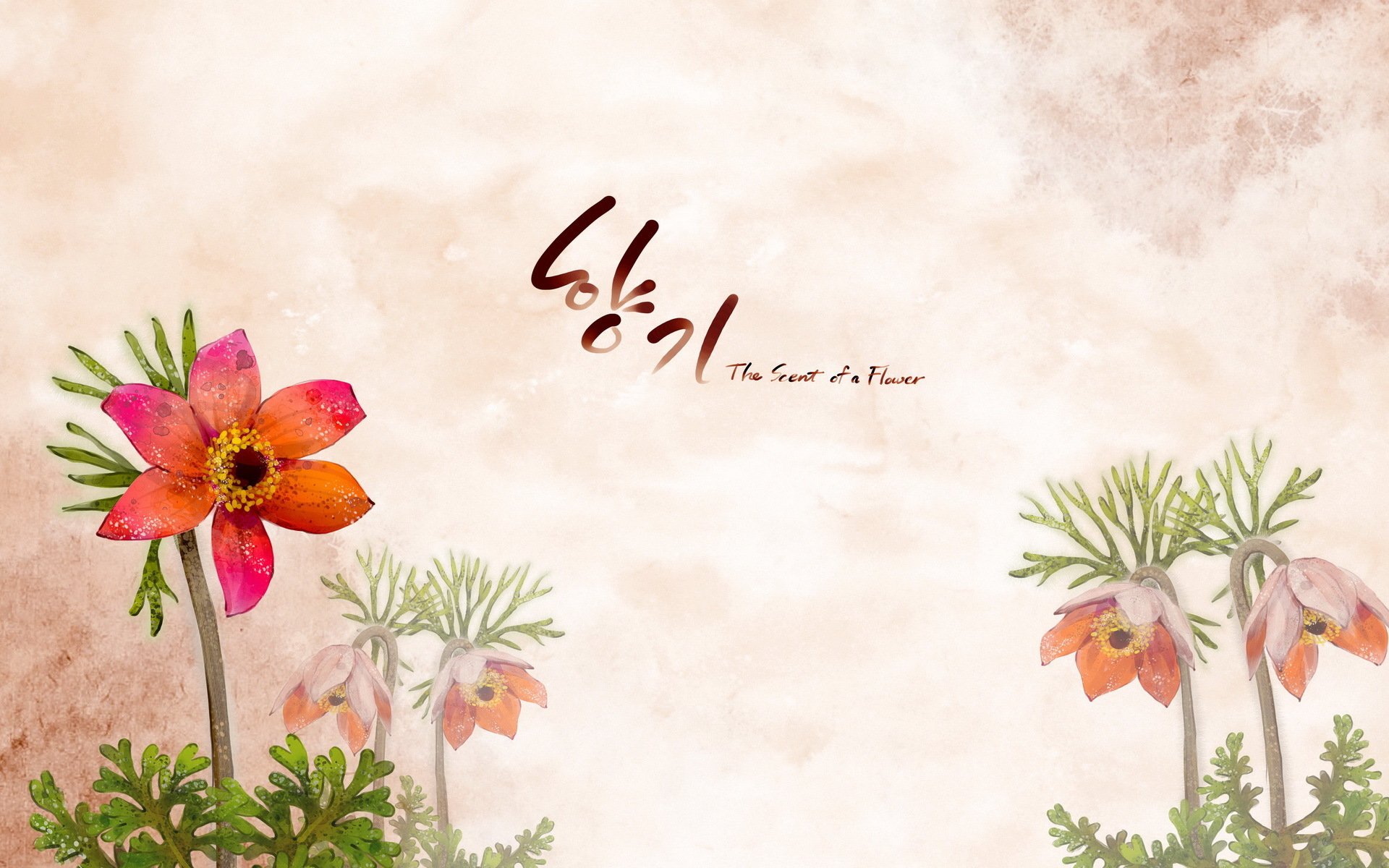 小清新,浪漫,简约,花卉,宽屏