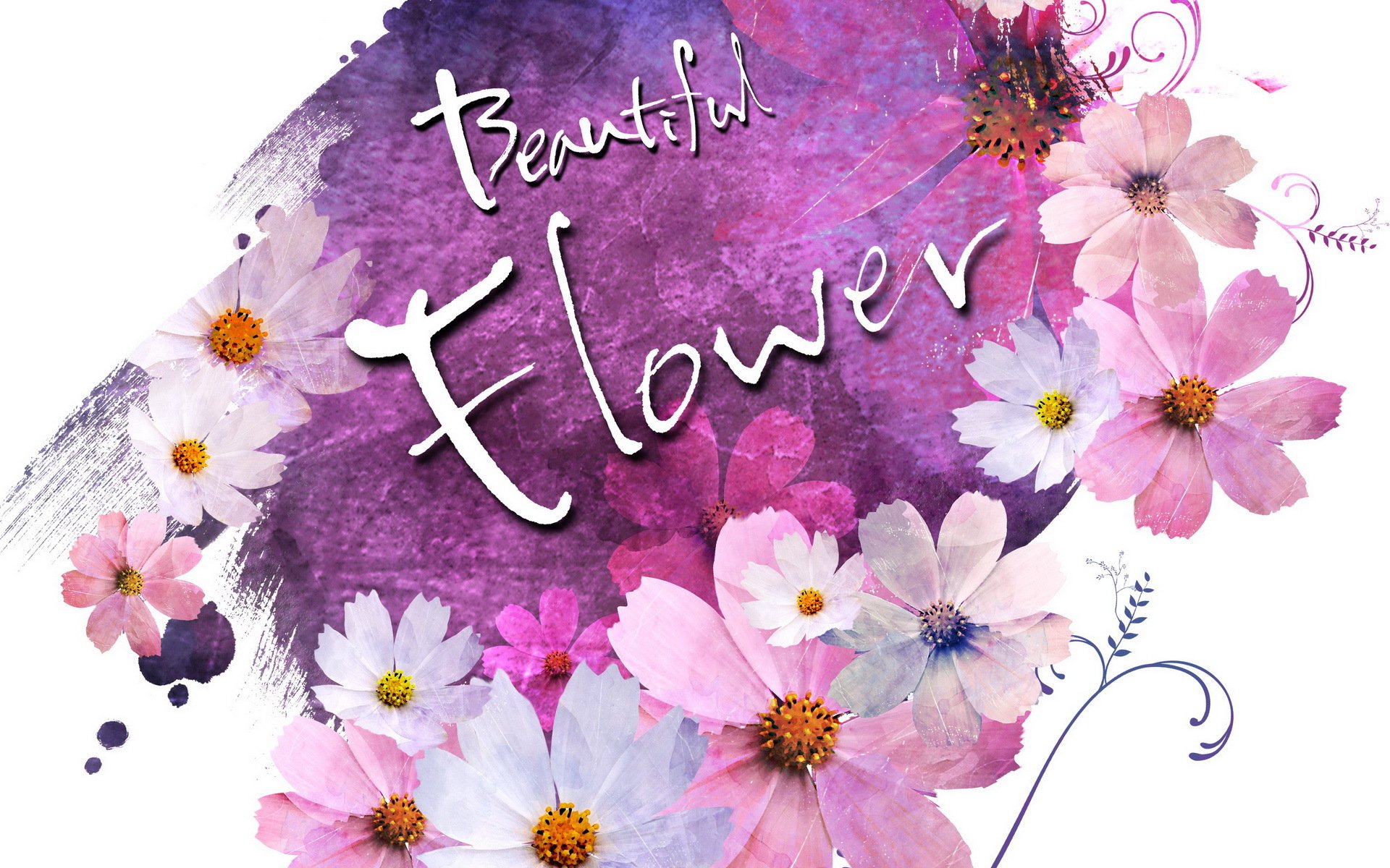 小清新,浪漫,简约,花卉,宽屏