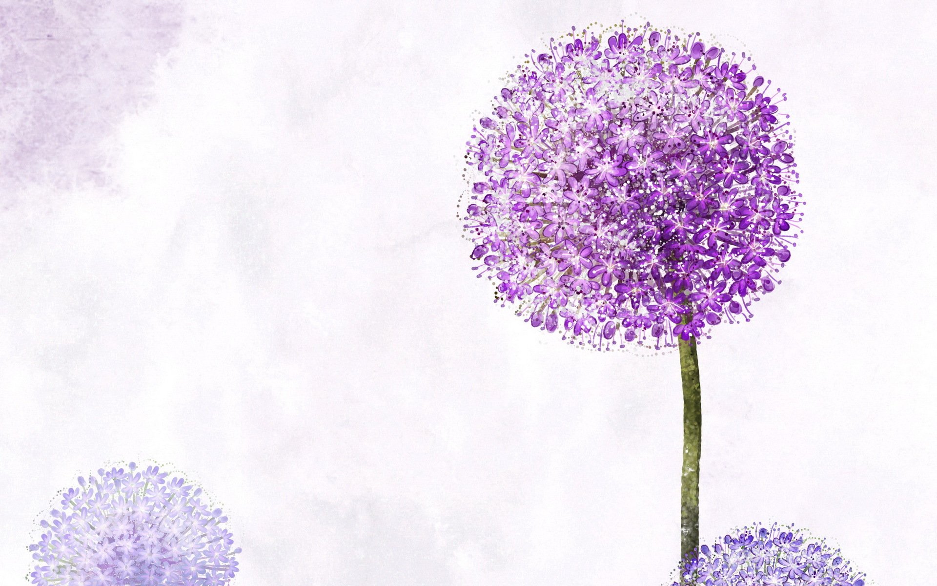 小清新,浪漫,简约,花卉,宽屏