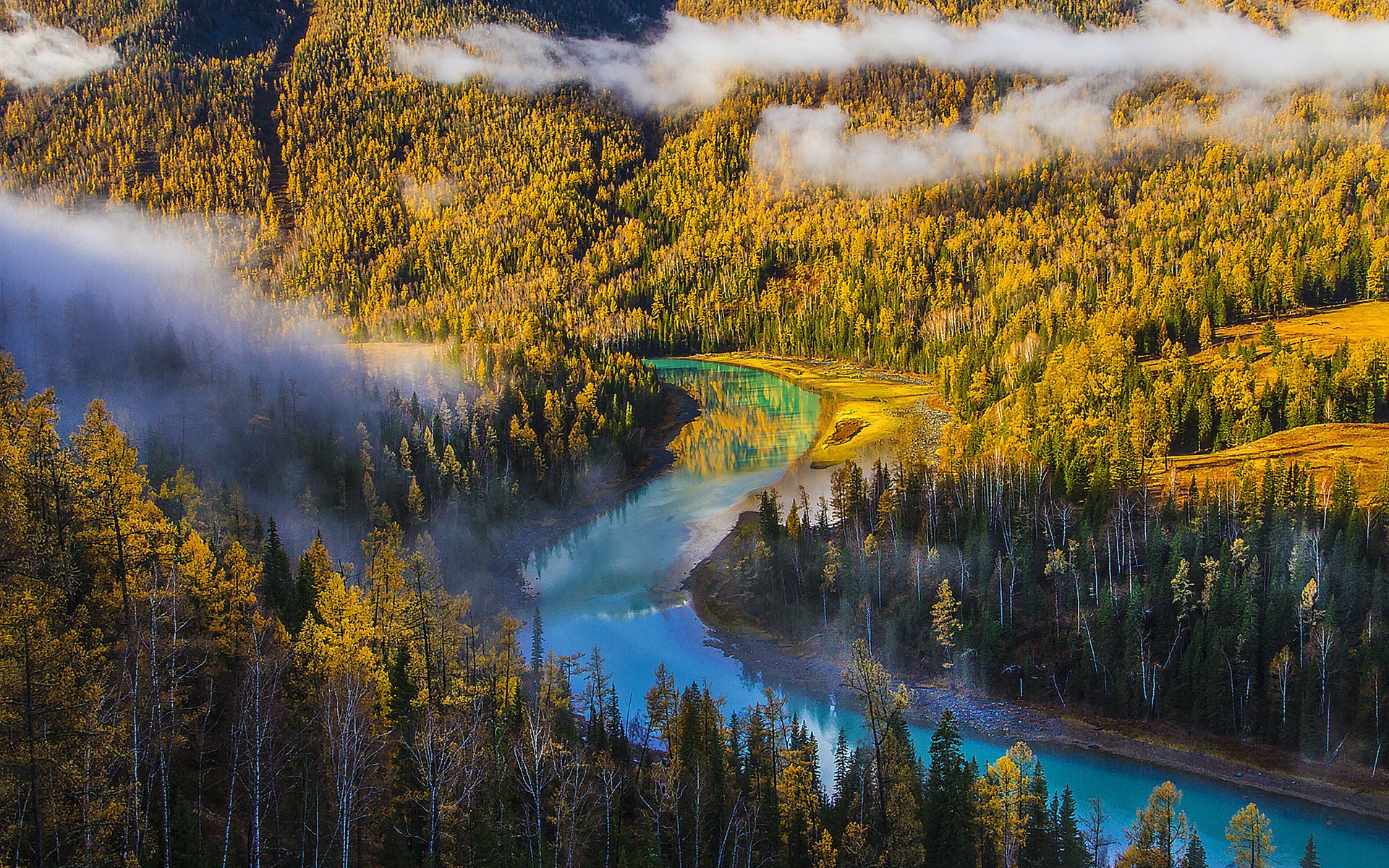风景,新疆,喀纳斯,金秋,秋色迷人,美丽壮观,宽屏